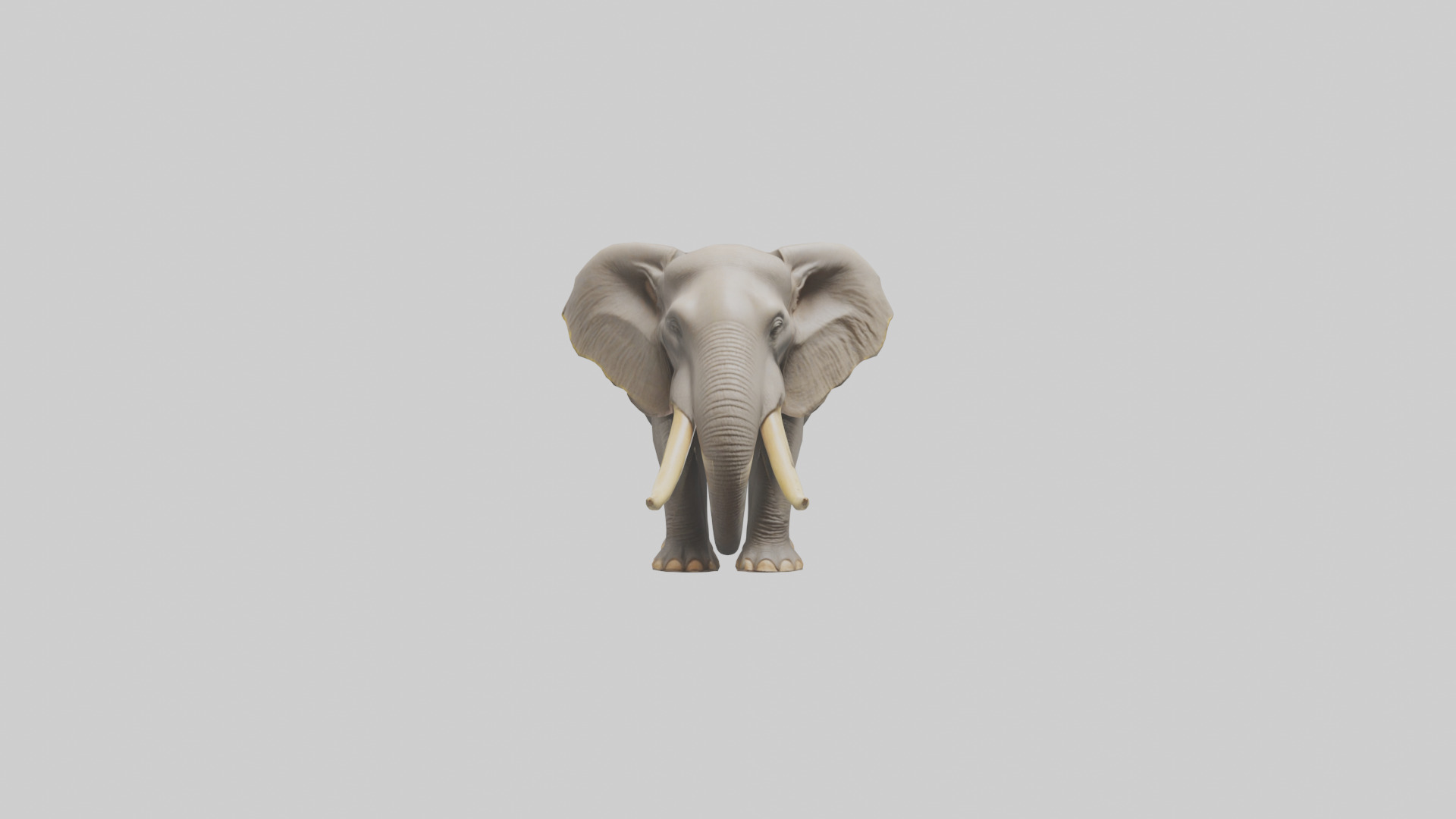 Indian Elephant grazing model Low-poly 3D model_2
