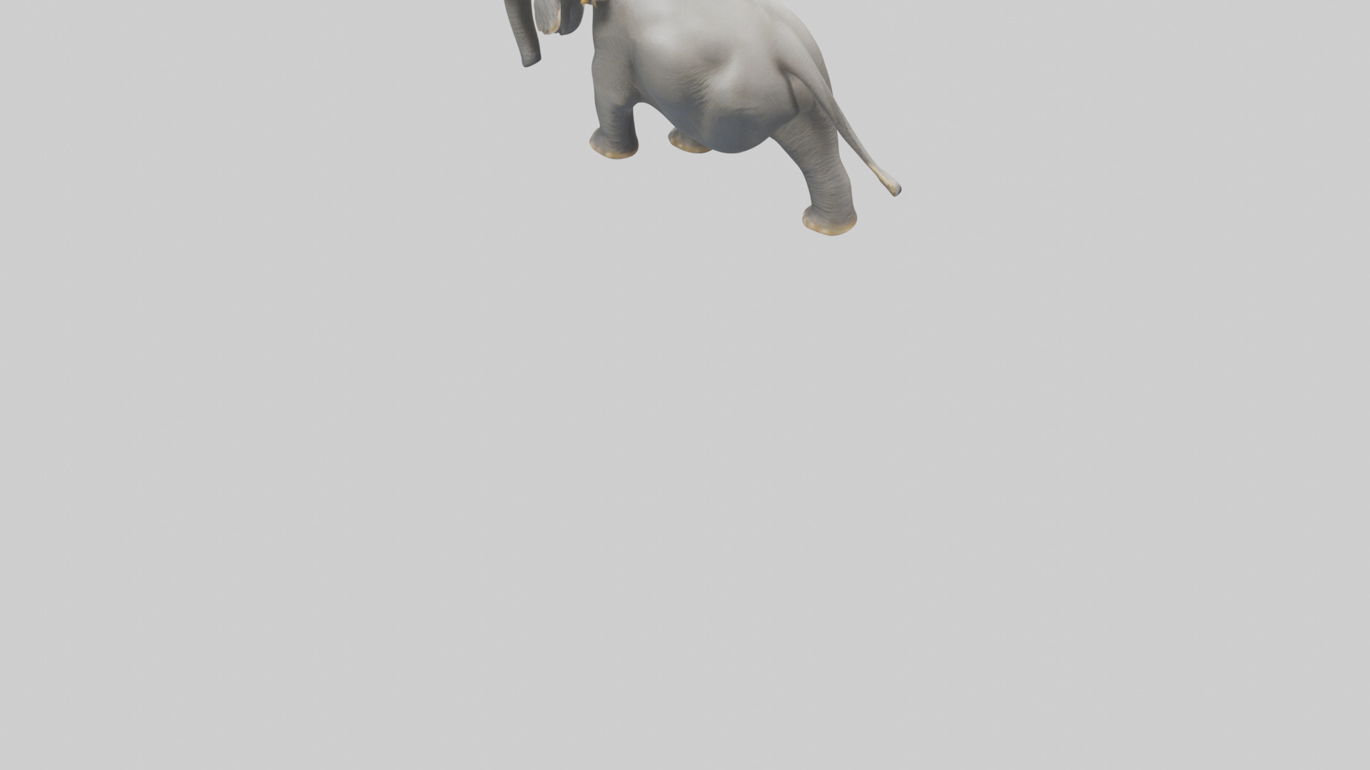 Indian Elephant playing in water model Low-poly 3D model_4