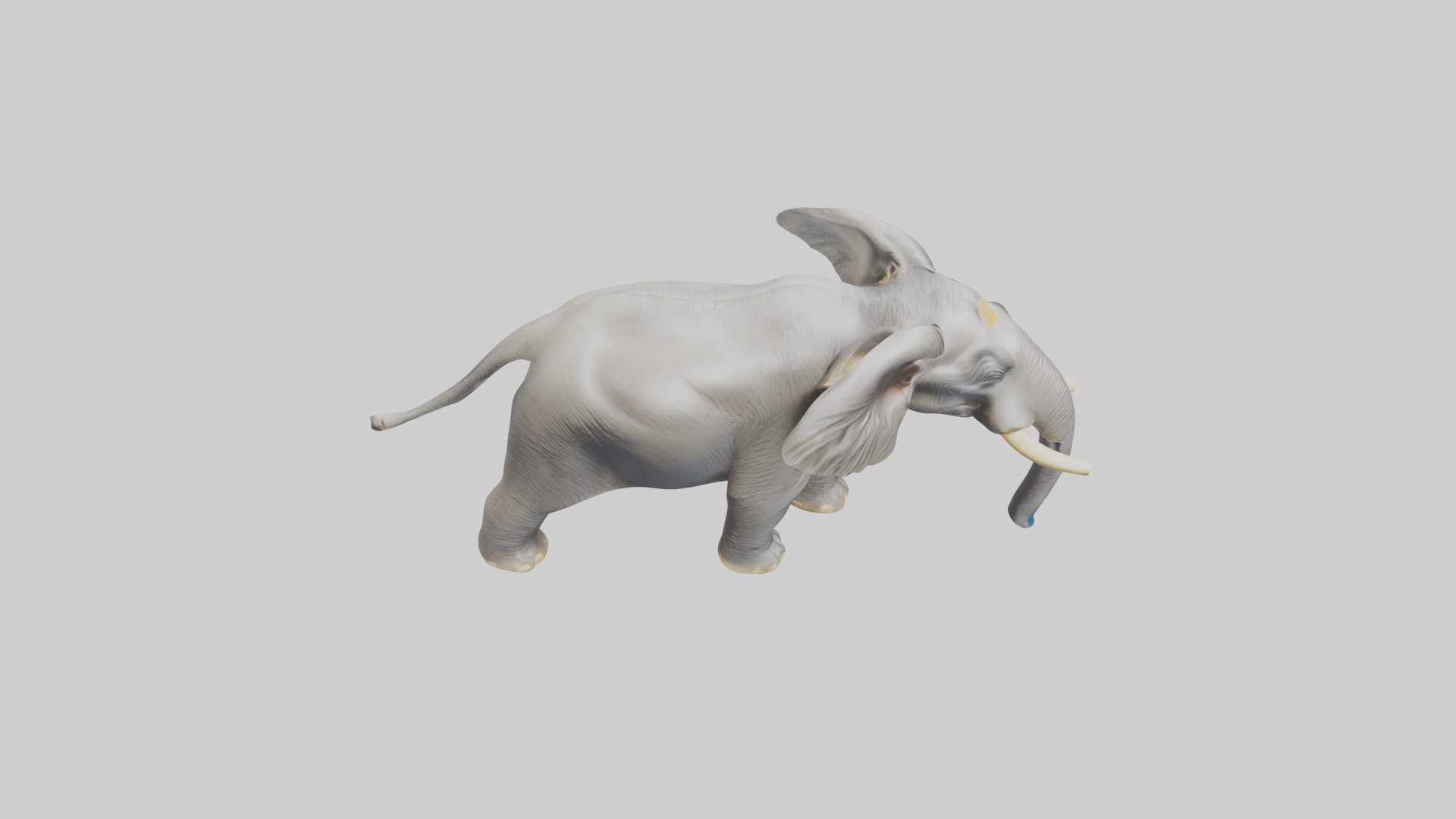 Indian Elephant playing in water model Low-poly 3D model_18