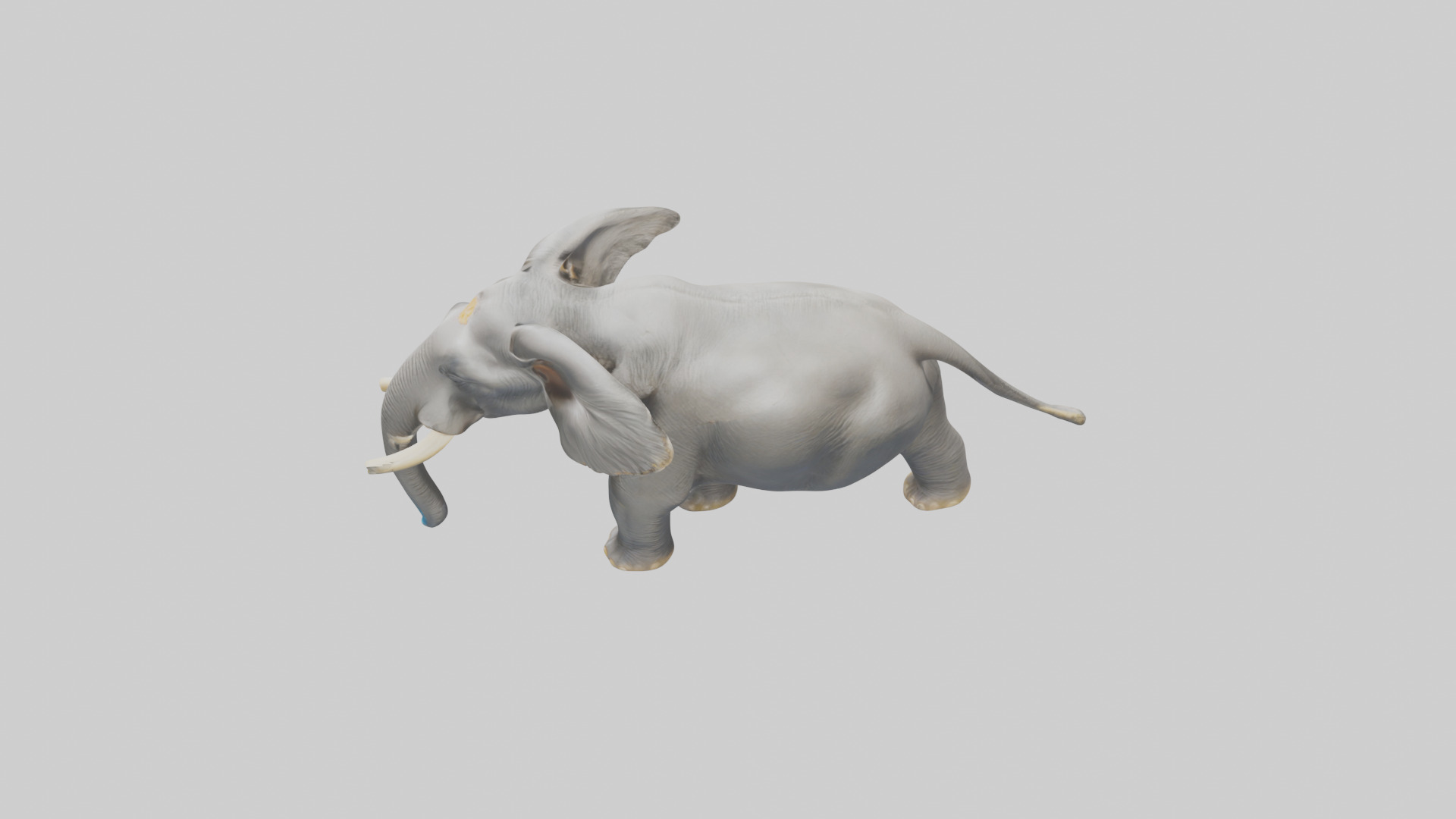 Indian Elephant playing in water model Low-poly 3D model_17