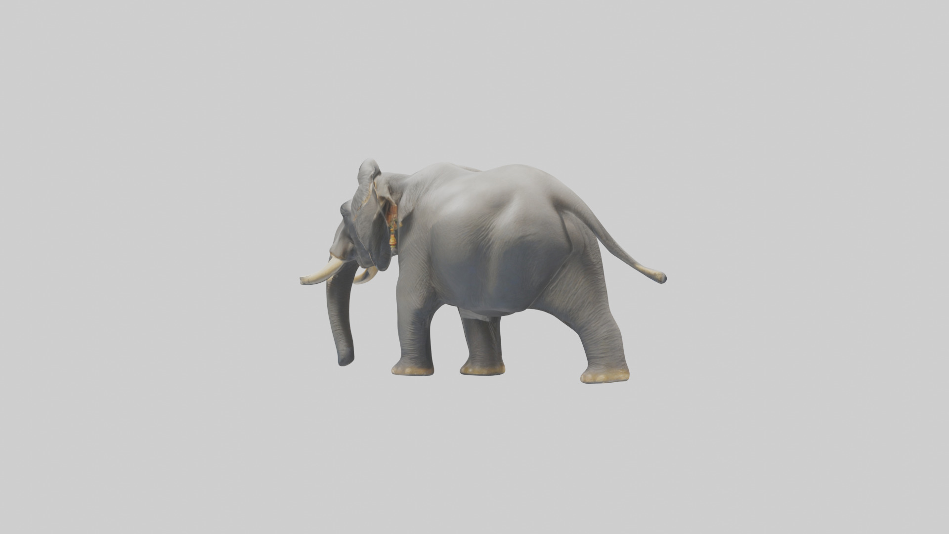 Indian Elephant playing in water model Low-poly 3D model_2