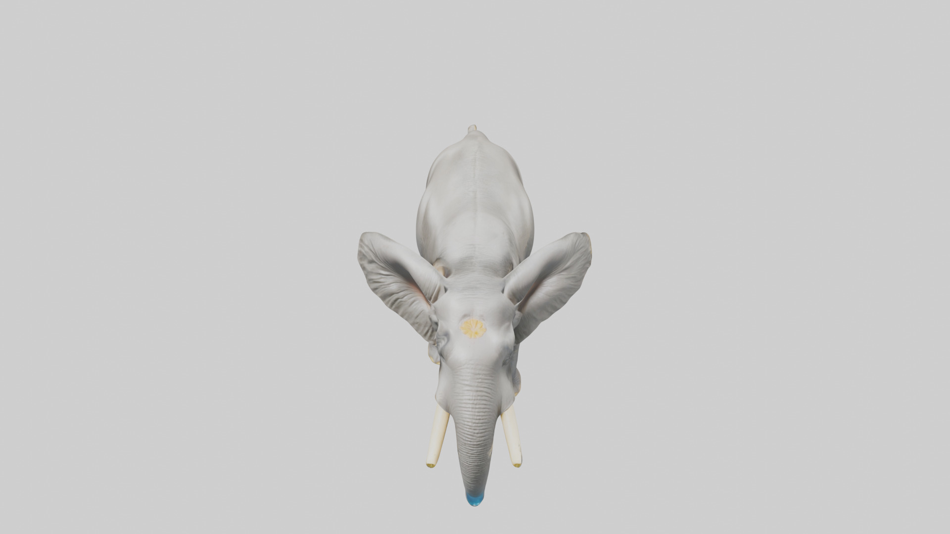 Indian Elephant playing in water model Low-poly 3D model_16
