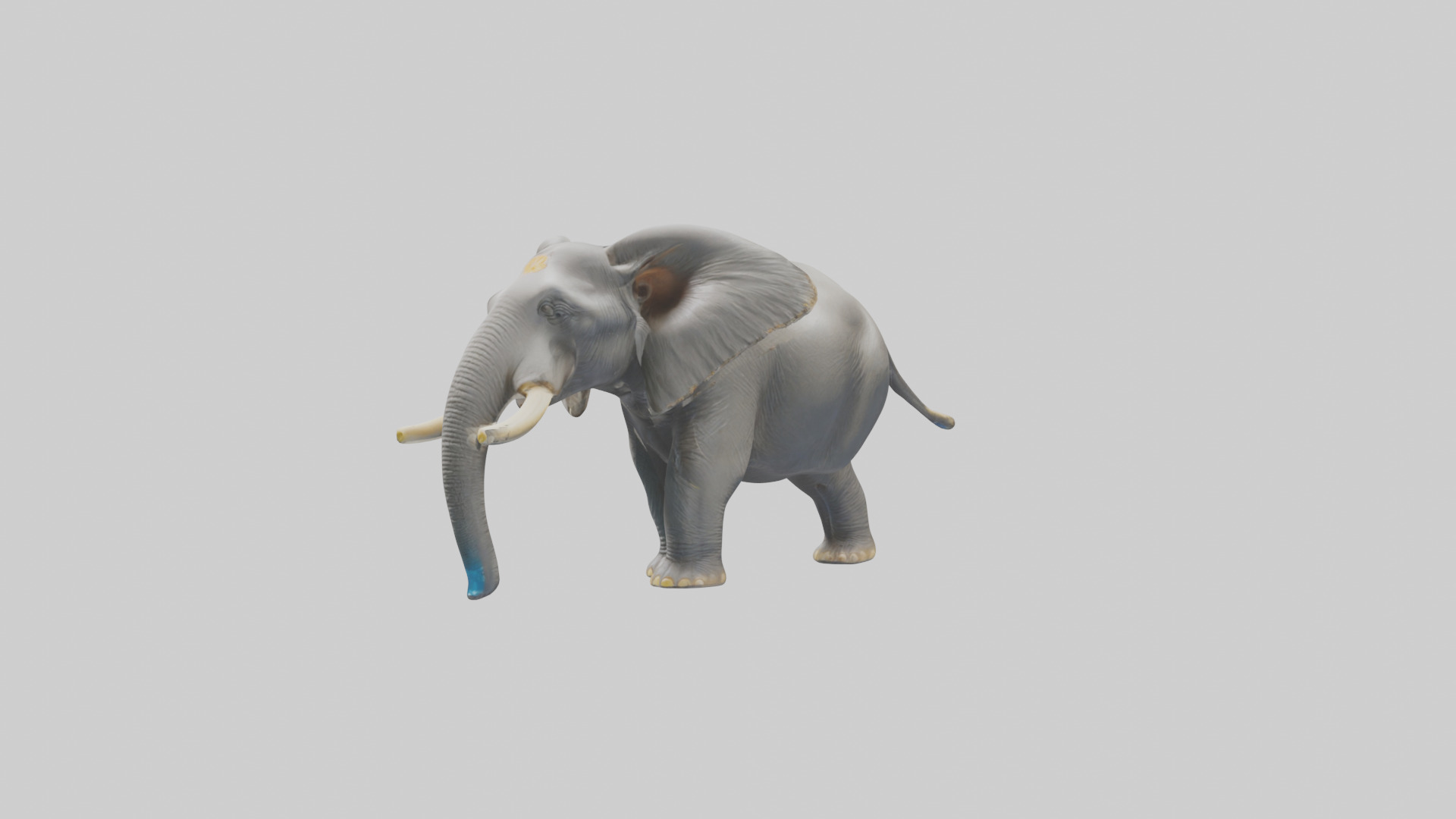 Indian Elephant playing in water model Low-poly 3D model_8