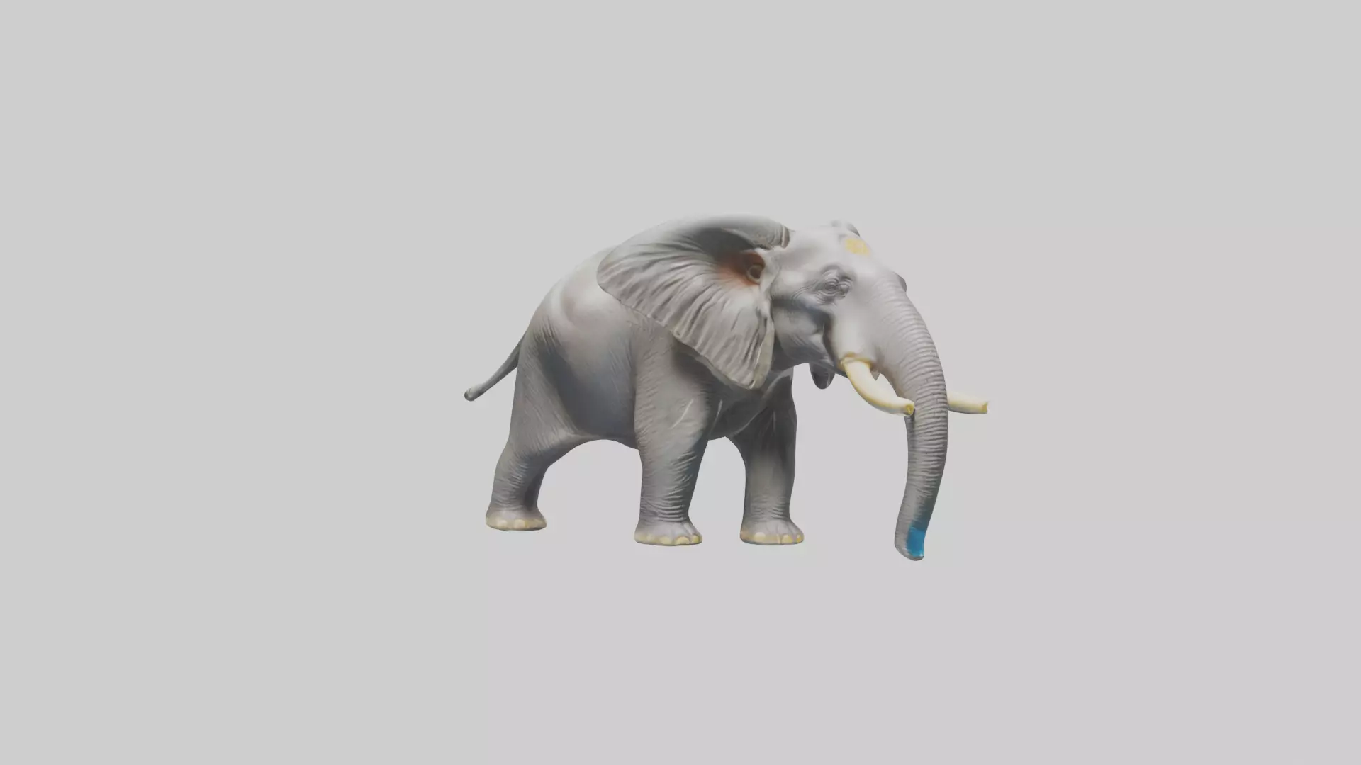 Indian Elephant playing in water model Low-poly 3D model_0
