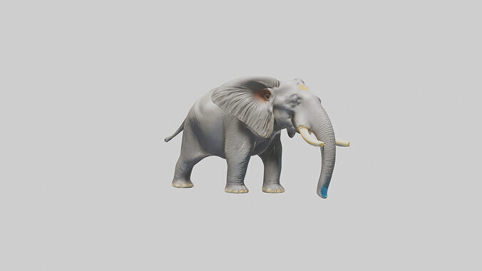 Indian Elephant playing in water model Low-poly 3D model