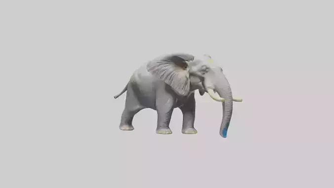 Indian Elephant playing in water model