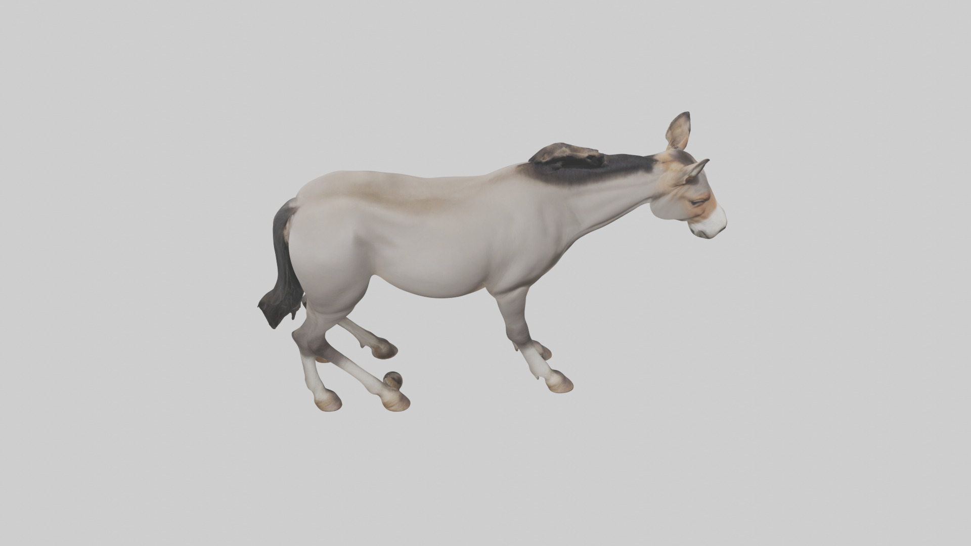 Indian Wild Ass grazing model Low-poly 3D model_15