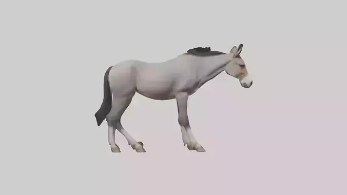 Indian Wild Ass grazing model Low-poly 3D model