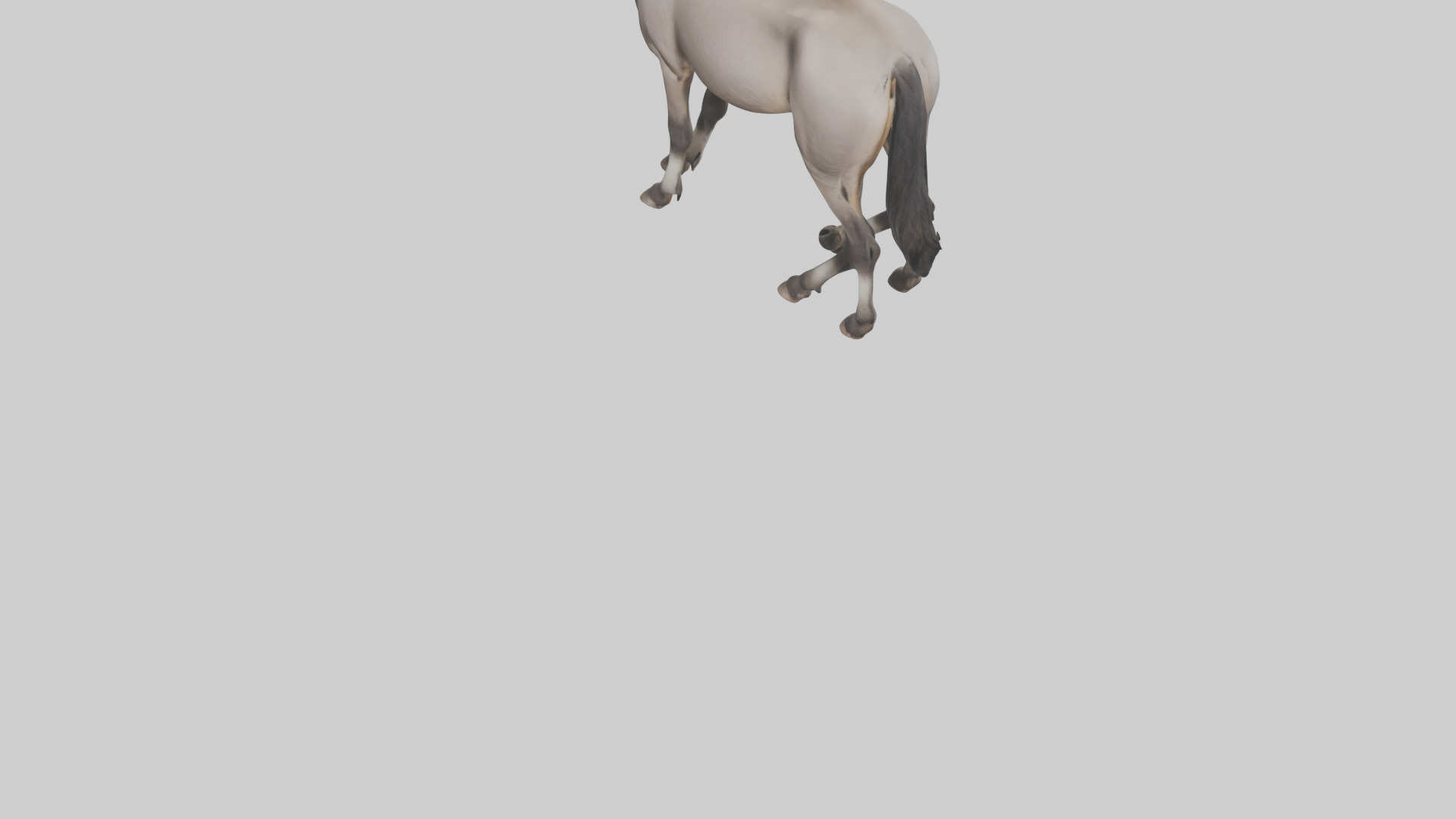 Indian Wild Ass grazing model Low-poly 3D model_5