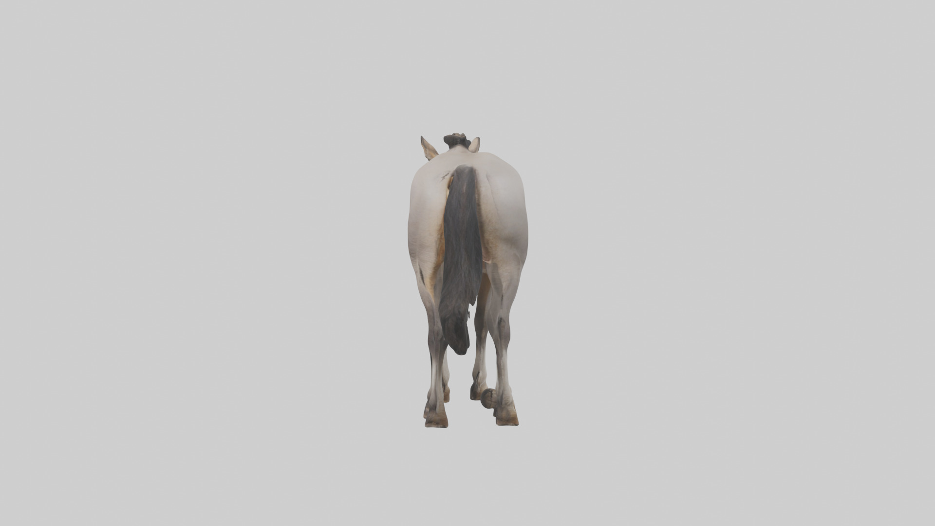 Indian Wild Ass grazing model Low-poly 3D model_12