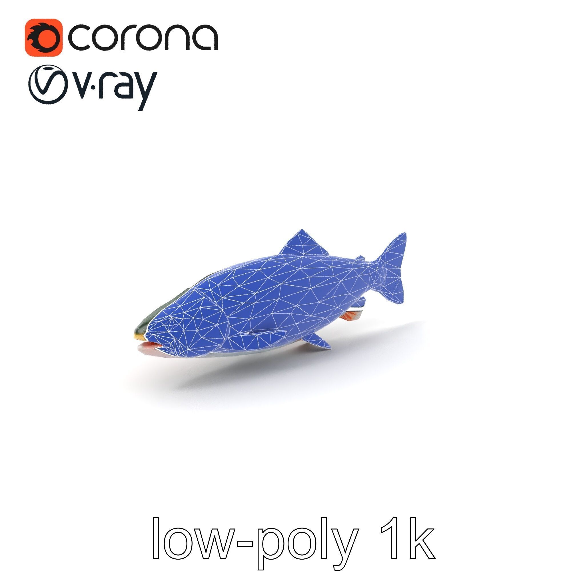 Dynamic Trout Fish Nature Realism model pack Low-poly 3D model_7