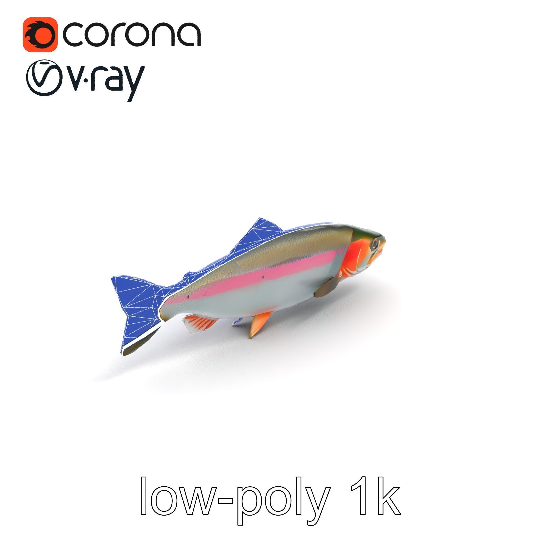 Dynamic Trout Fish Nature Realism model pack Low-poly 3D model_23