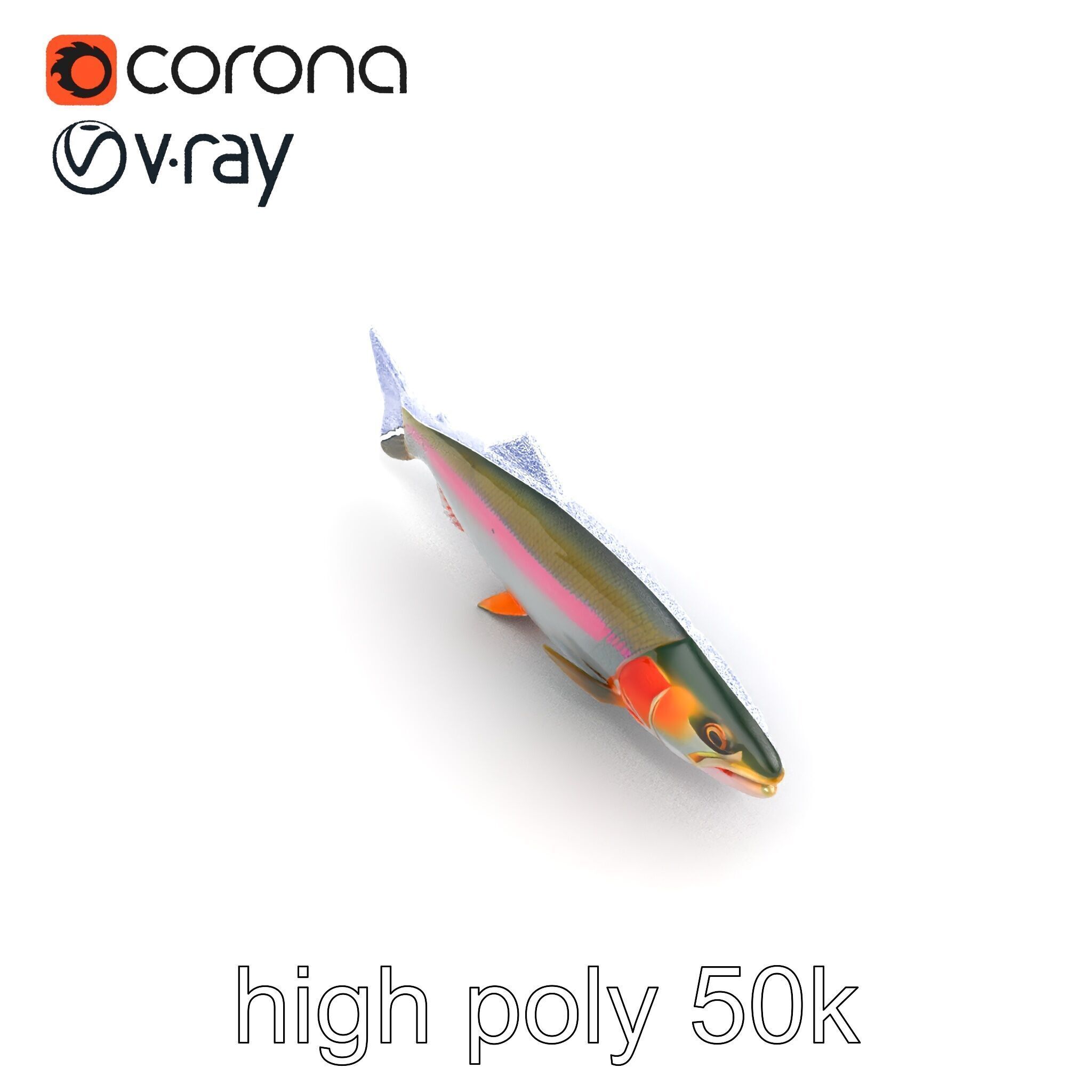 Dynamic Trout Fish Nature Realism model pack Low-poly 3D model_21