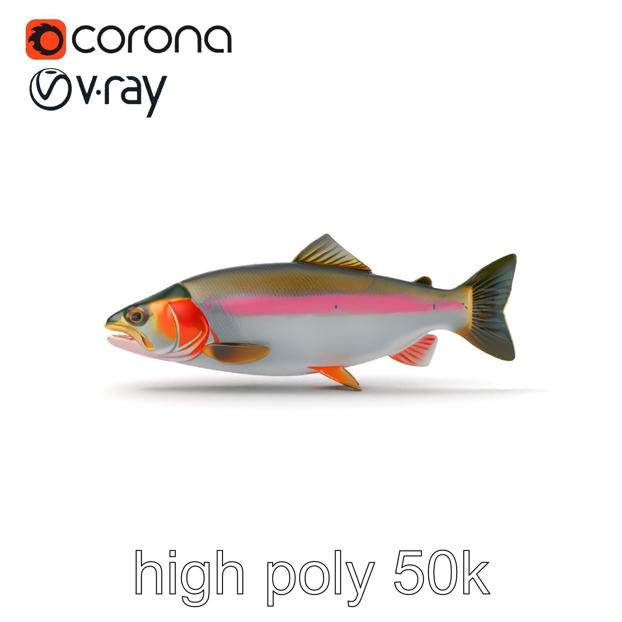 Dynamic Trout Fish Nature Realism model pack Low-poly 3D model_24