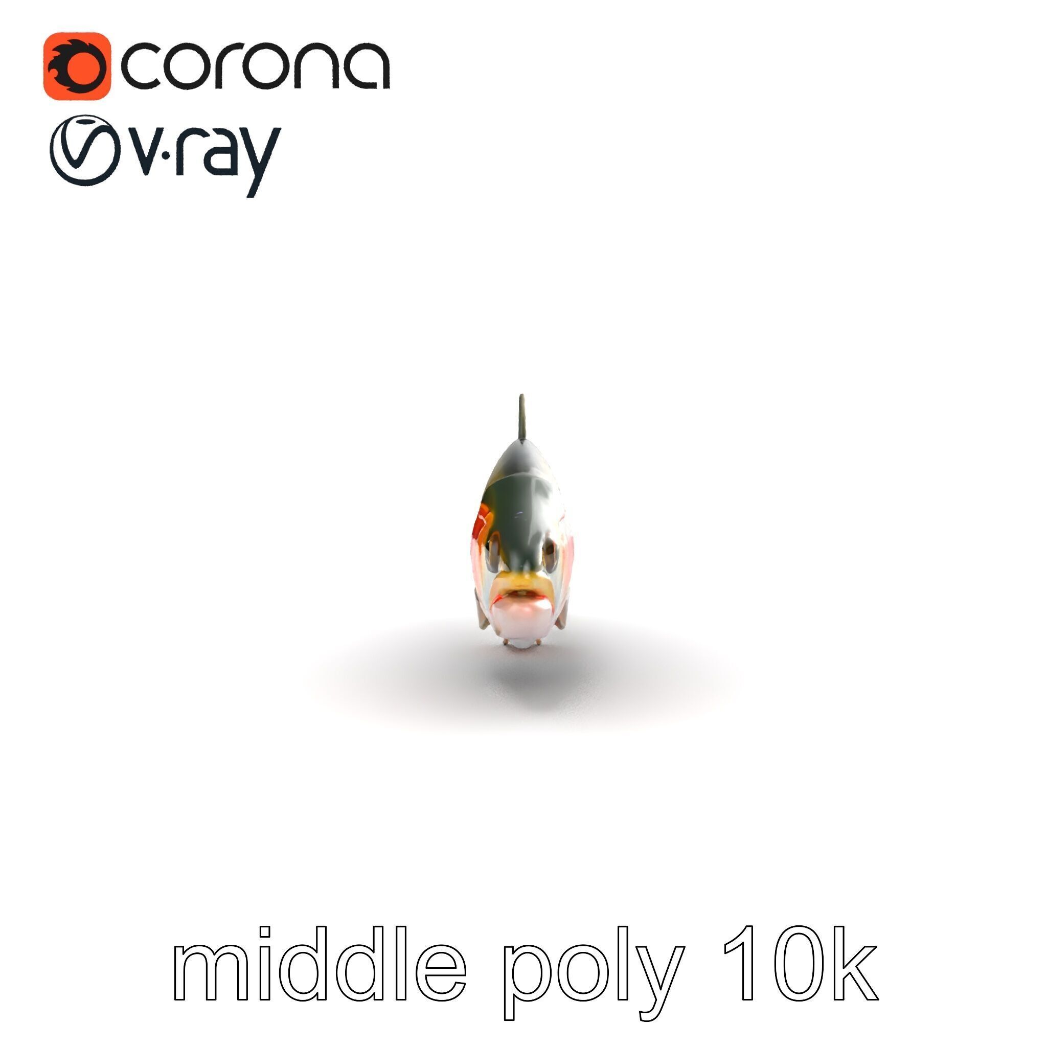 Dynamic Trout Fish Nature Realism model pack Low-poly 3D model_20