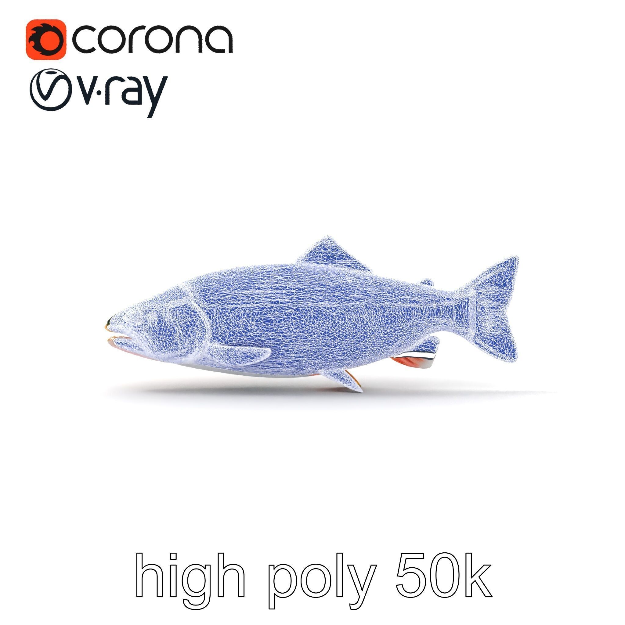 Dynamic Trout Fish Nature Realism model pack Low-poly 3D model_28