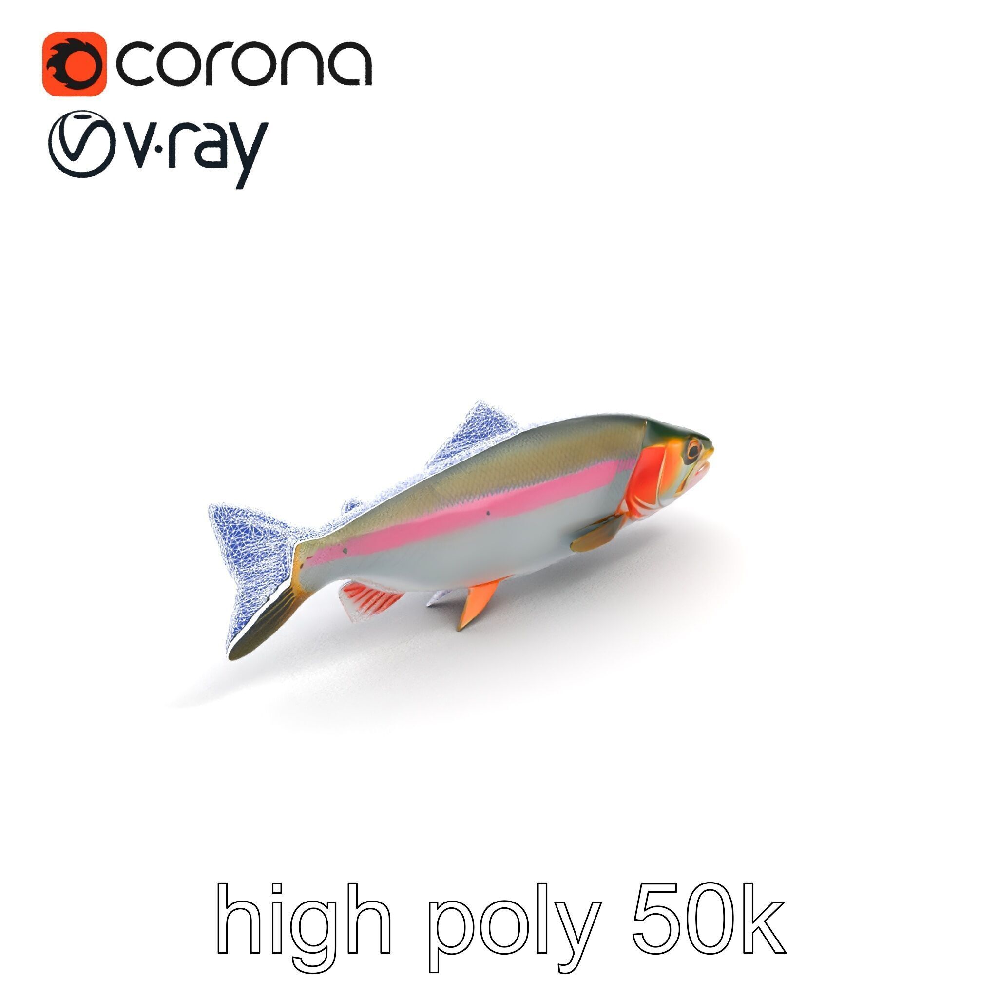 Dynamic Trout Fish Nature Realism model pack Low-poly 3D model_27