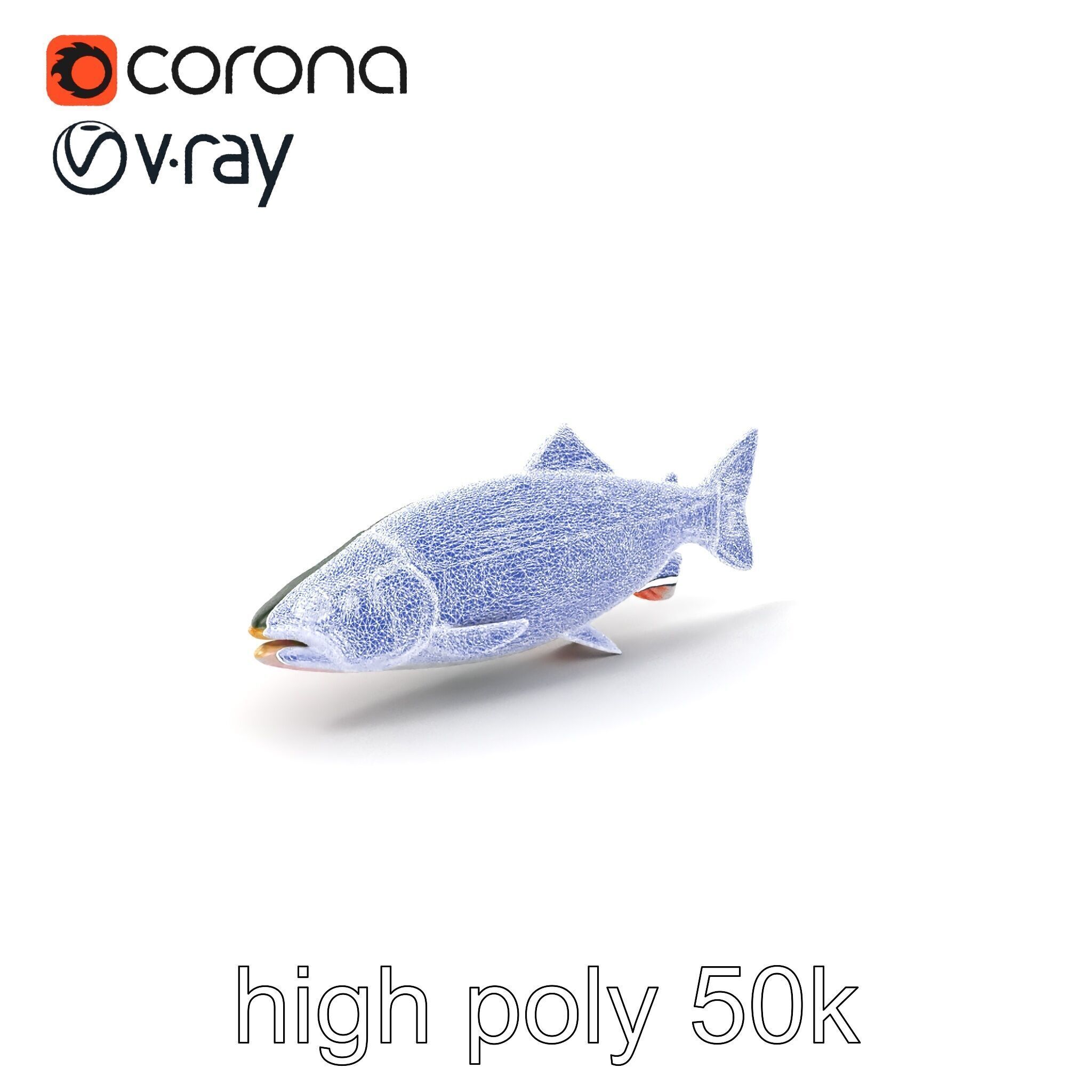 Dynamic Trout Fish Nature Realism model pack Low-poly 3D model_10