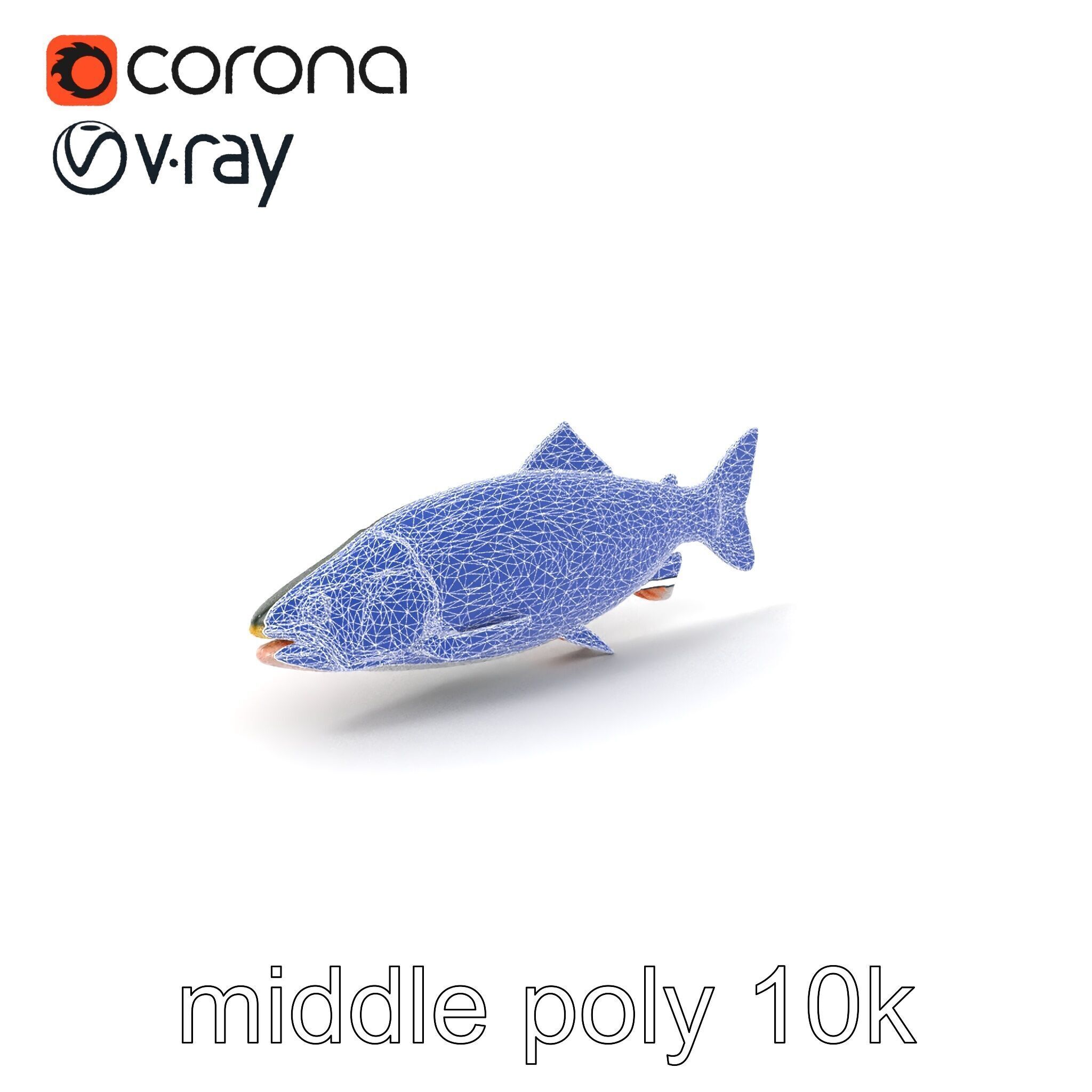 Dynamic Trout Fish Nature Realism model pack Low-poly 3D model_6