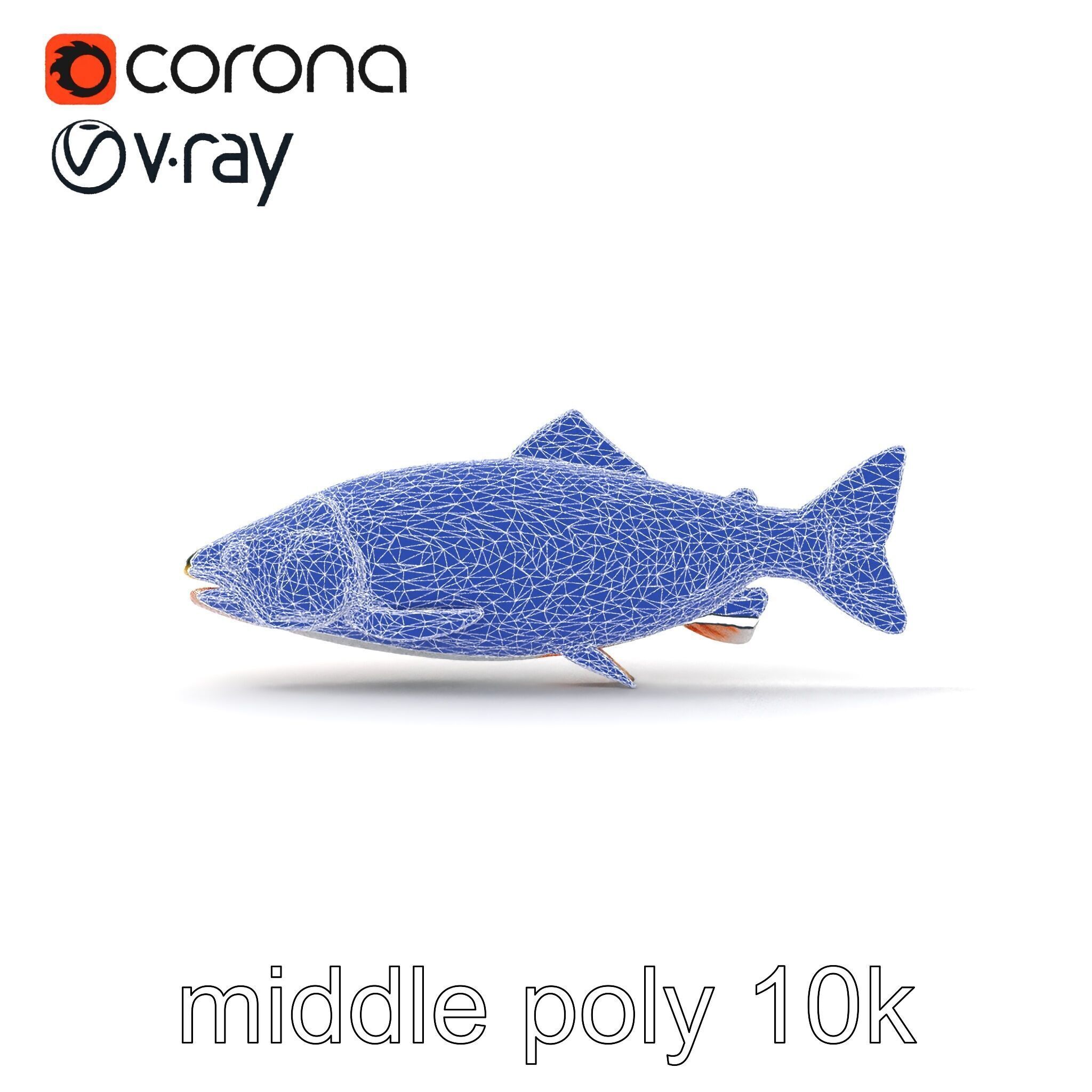 Dynamic Trout Fish Nature Realism model pack Low-poly 3D model_31