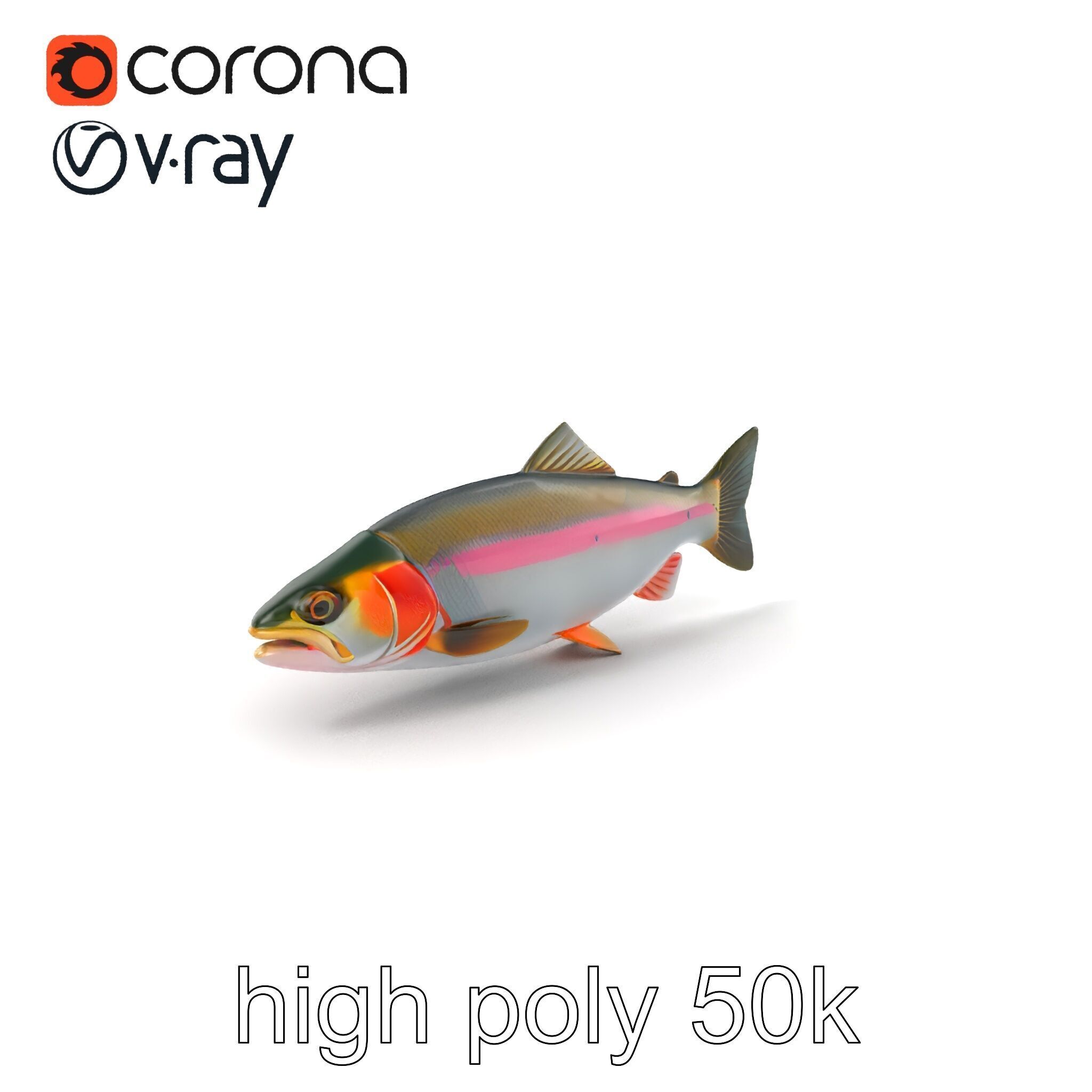 Dynamic Trout Fish Nature Realism model pack Low-poly 3D model_2