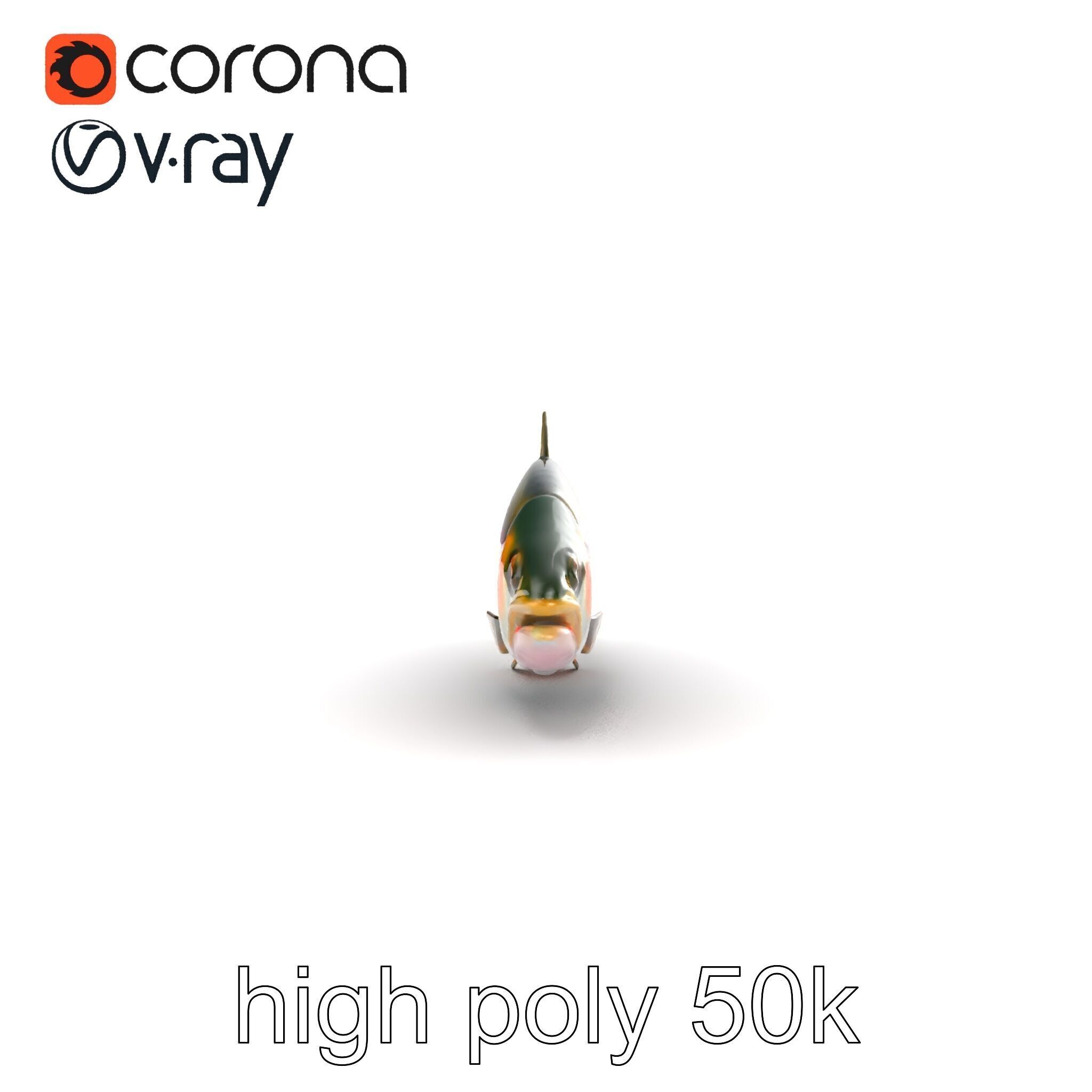 Dynamic Trout Fish Nature Realism model pack Low-poly 3D model_17