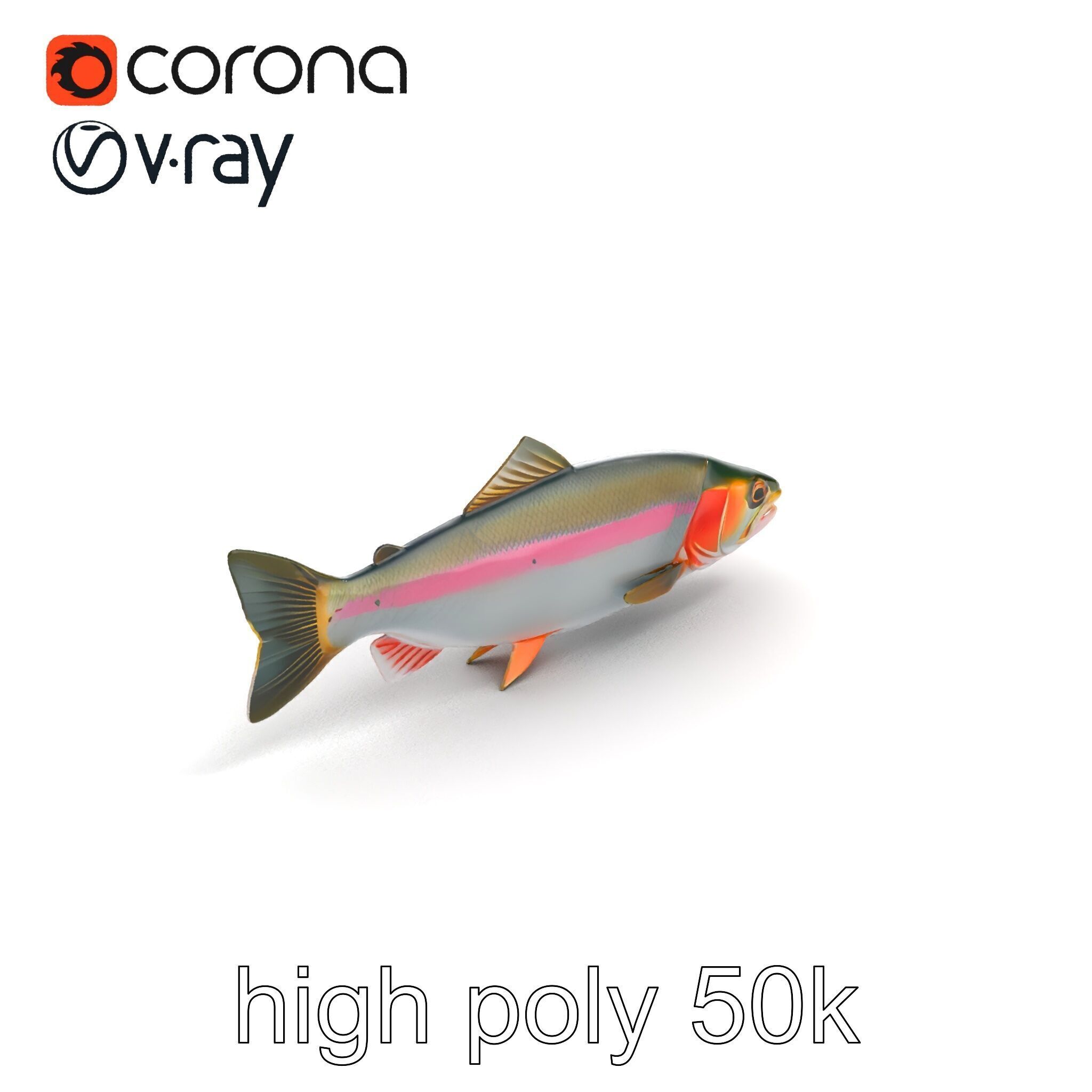 Dynamic Trout Fish Nature Realism model pack Low-poly 3D model_13