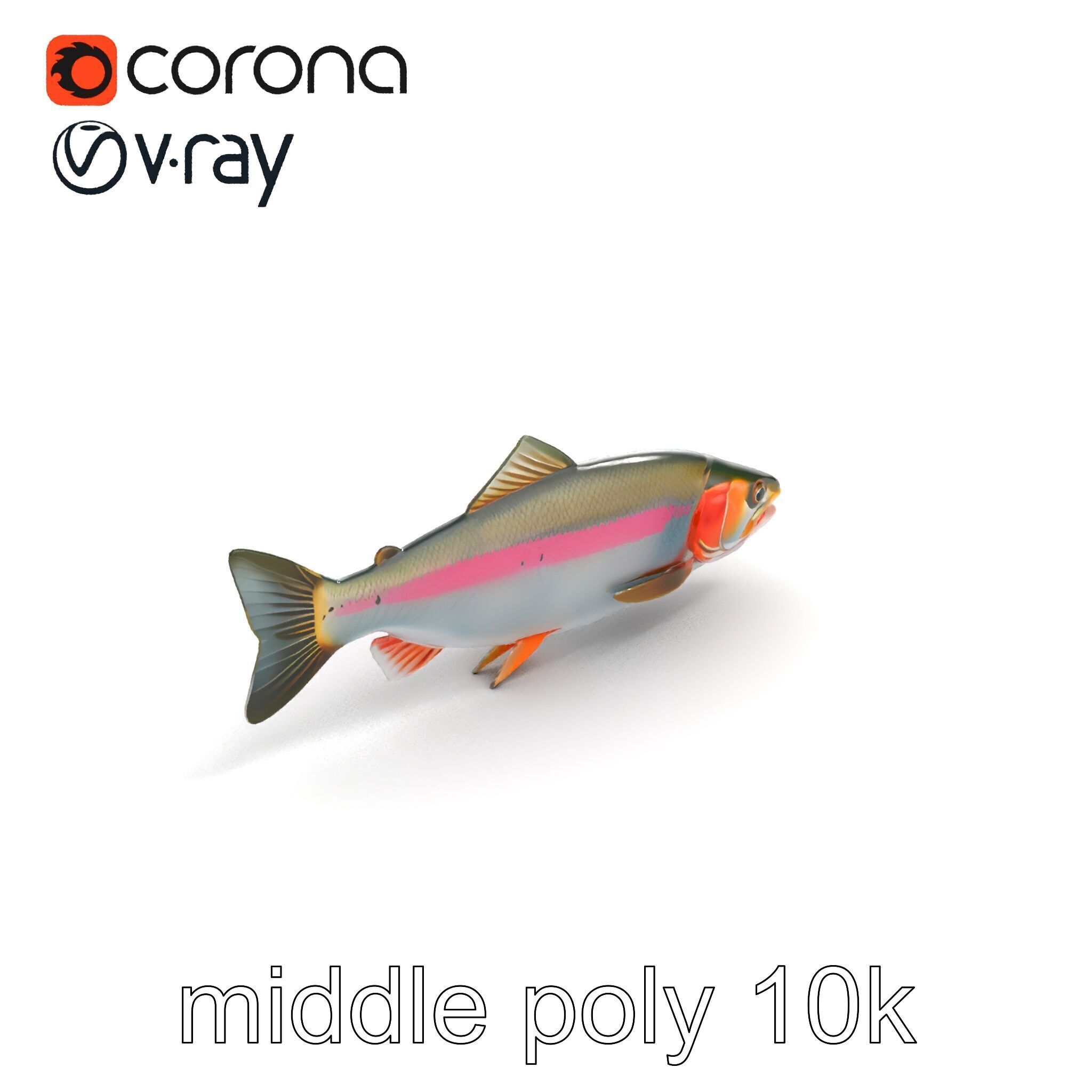 Dynamic Trout Fish Nature Realism model pack Low-poly 3D model_8
