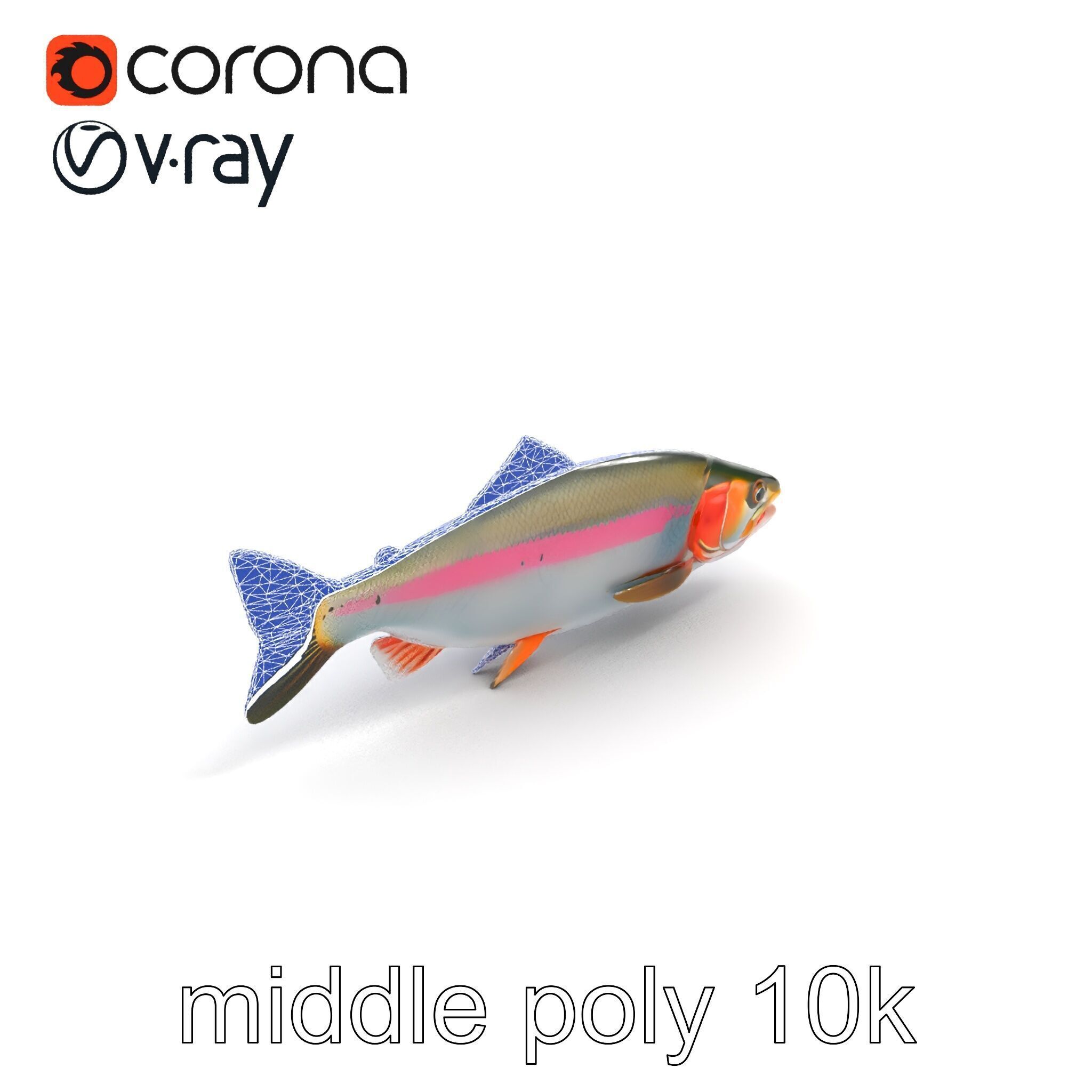 Dynamic Trout Fish Nature Realism model pack Low-poly 3D model_12