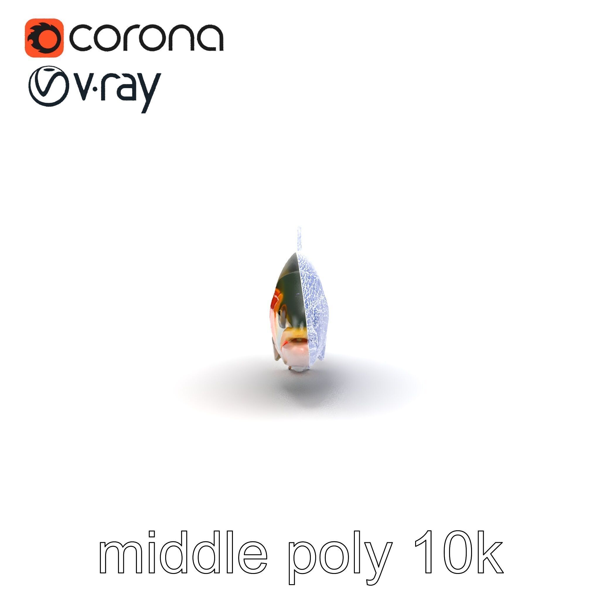 Dynamic Trout Fish Nature Realism model pack Low-poly 3D model_15