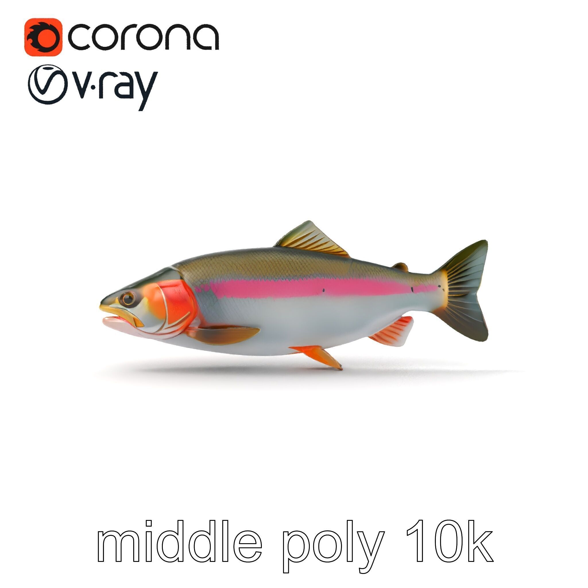 Dynamic Trout Fish Nature Realism model pack Low-poly 3D model_18