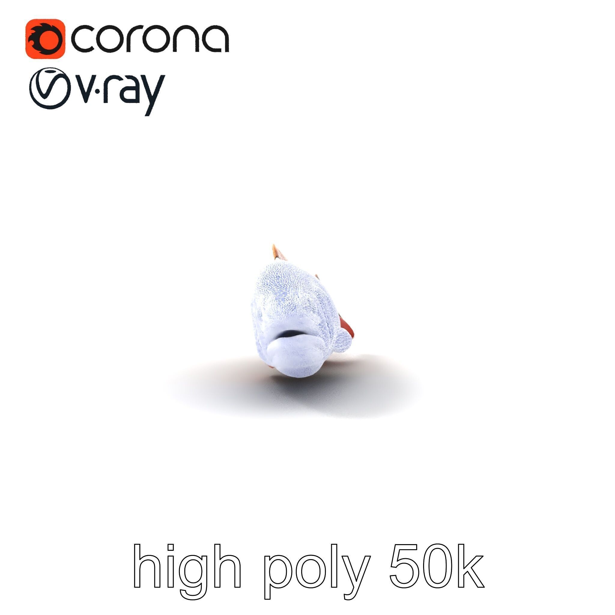 Brown Trout Realistic Fish 3D Model Pack Low-poly 3D model_17