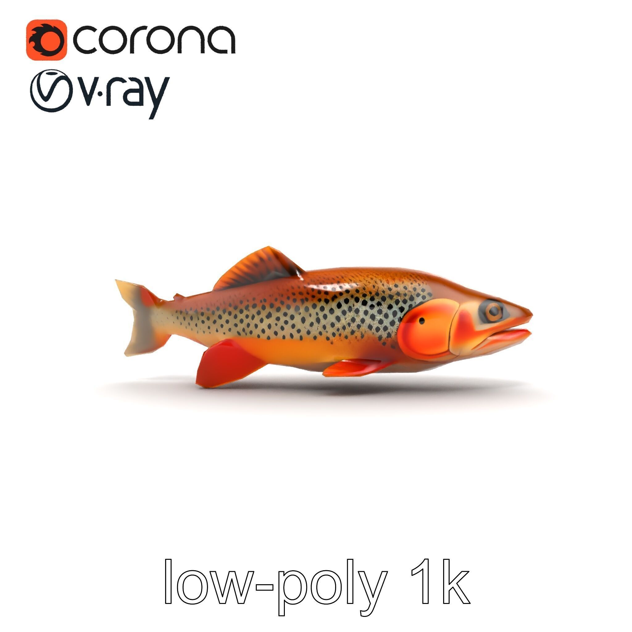 Brown Trout Realistic Fish 3D Model Pack Low-poly 3D model_12
