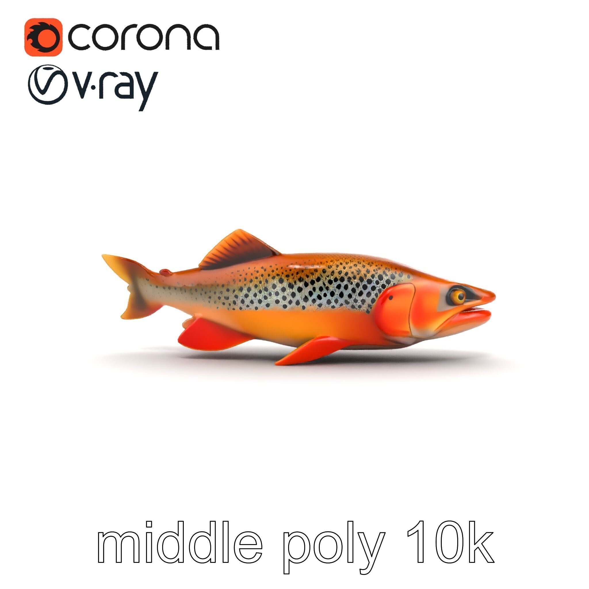 Brown Trout Realistic Fish 3D Model Pack Low-poly 3D model_27