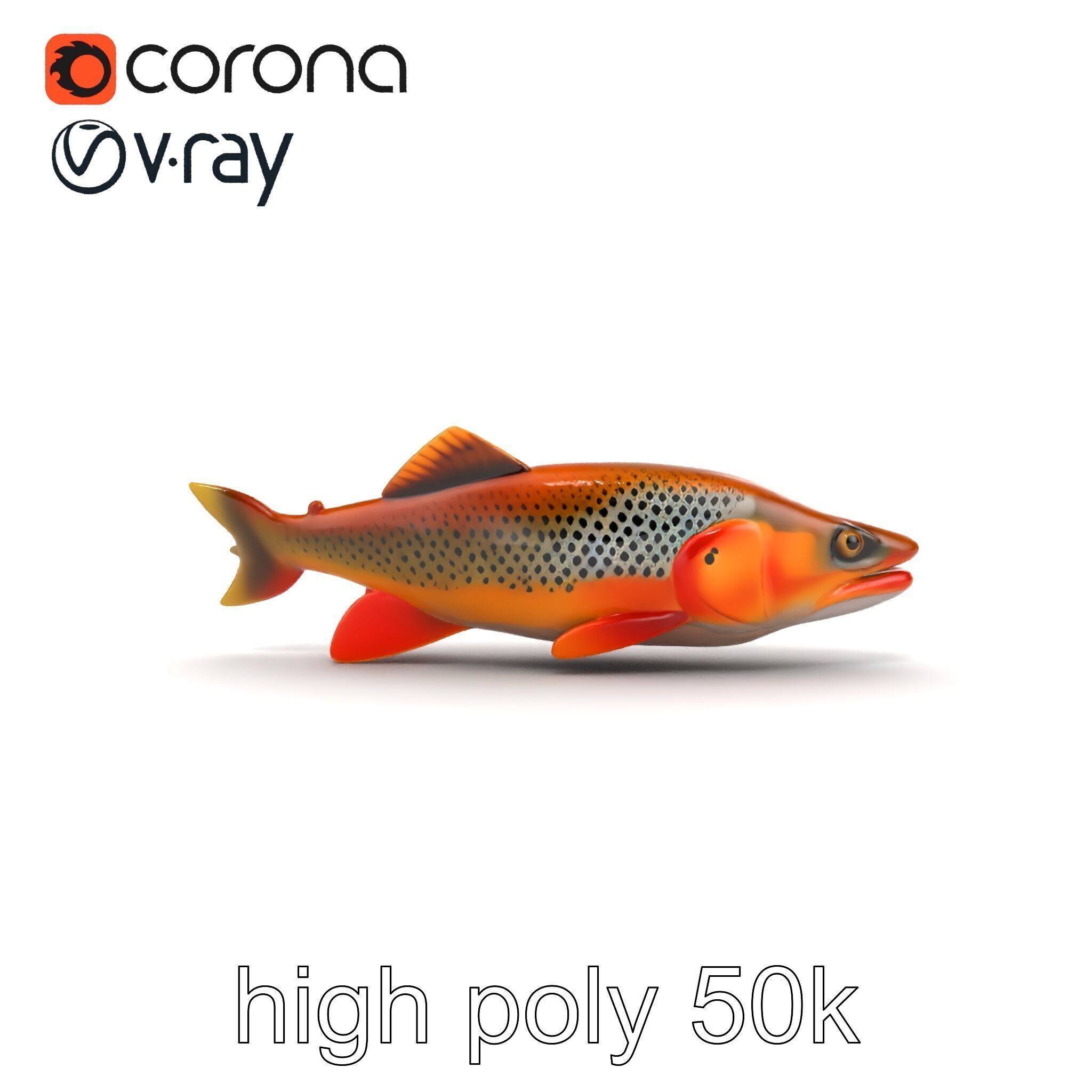 Brown Trout Realistic Fish 3D Model Pack Low-poly 3D model_19