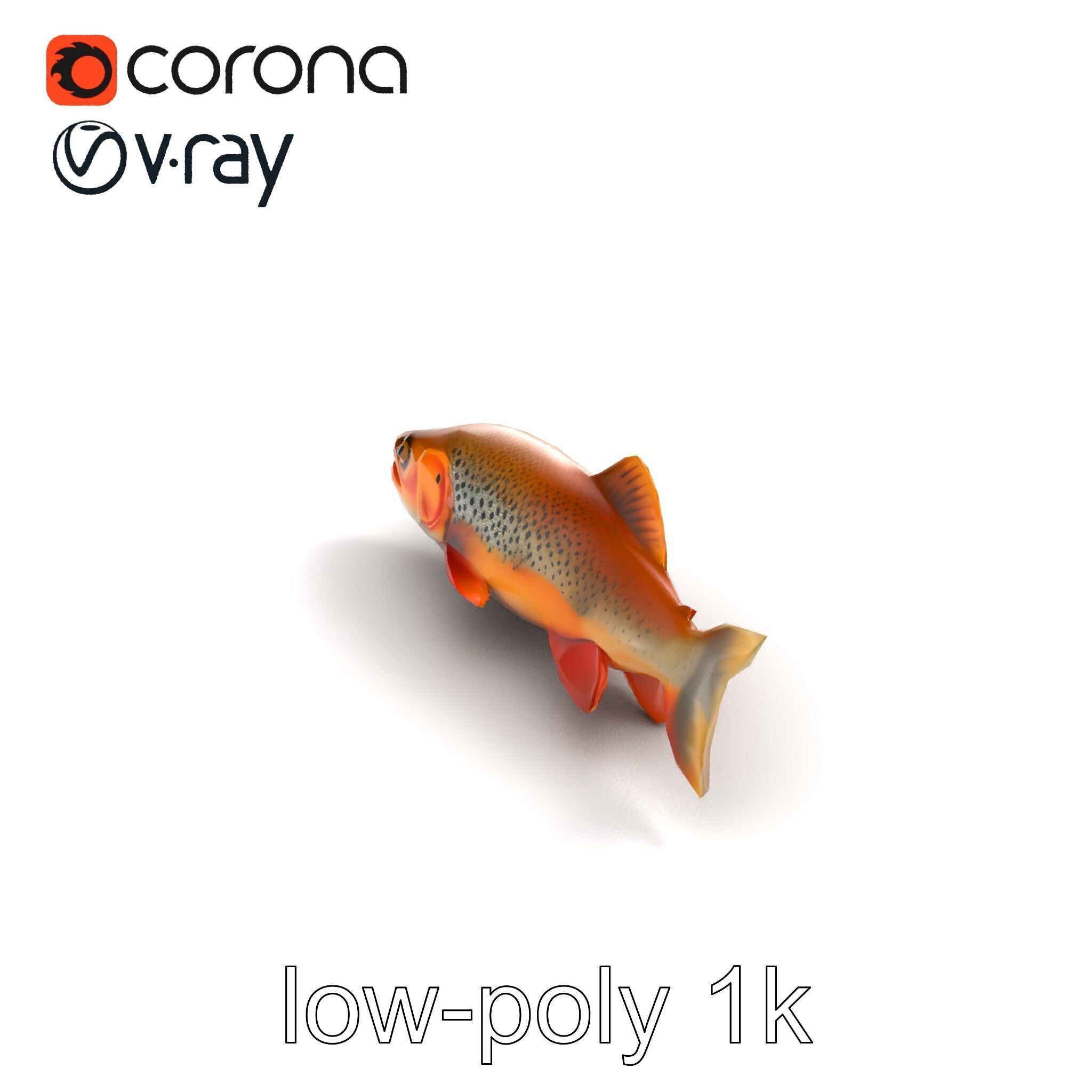 Brown Trout Realistic Fish 3D Model Pack Low-poly 3D model_9