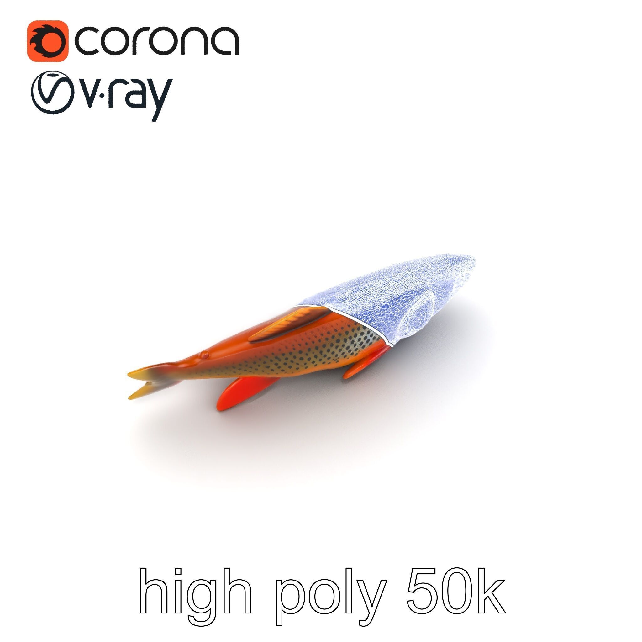 Brown Trout Realistic Fish 3D Model Pack Low-poly 3D model_20