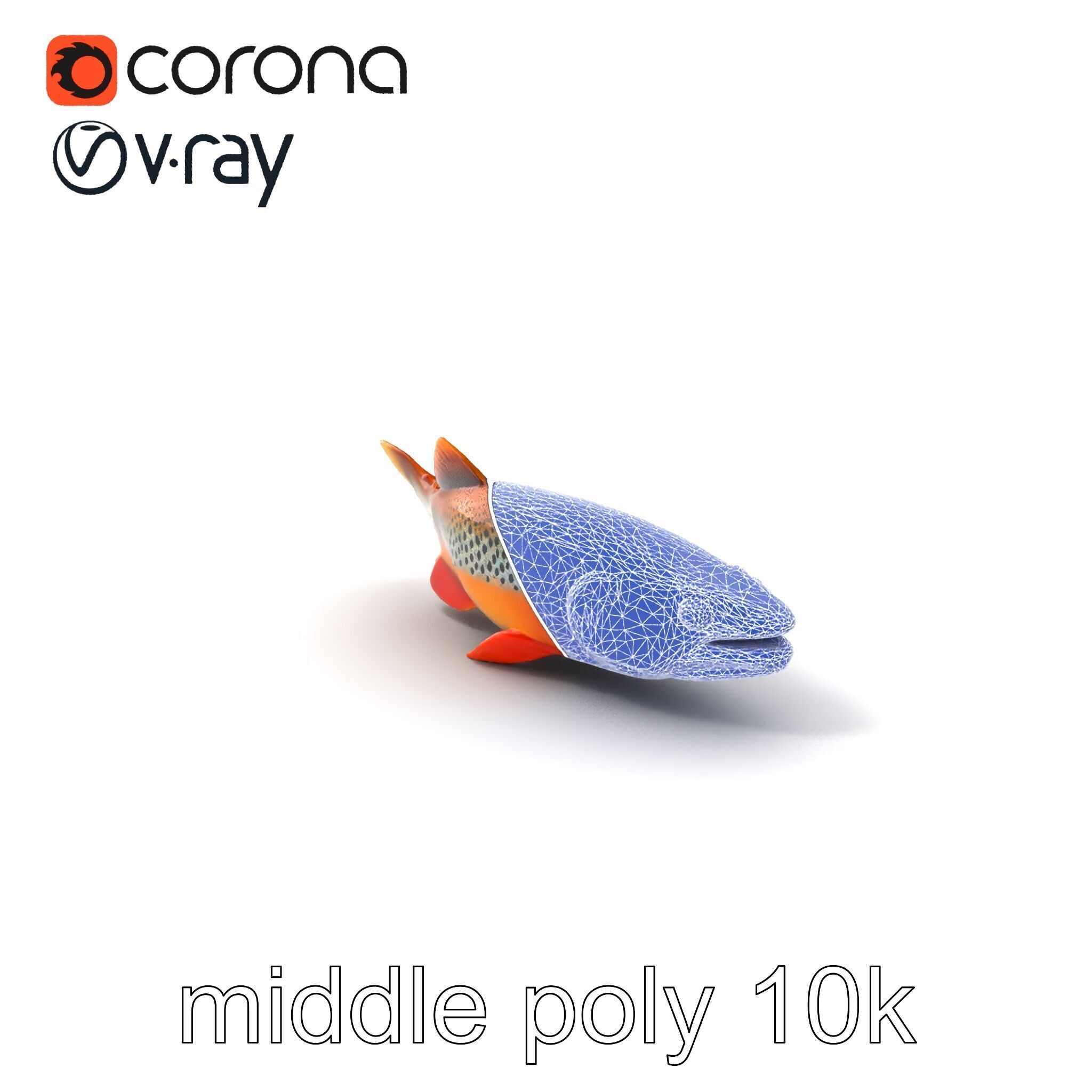 Brown Trout Realistic Fish 3D Model Pack Low-poly 3D model_6