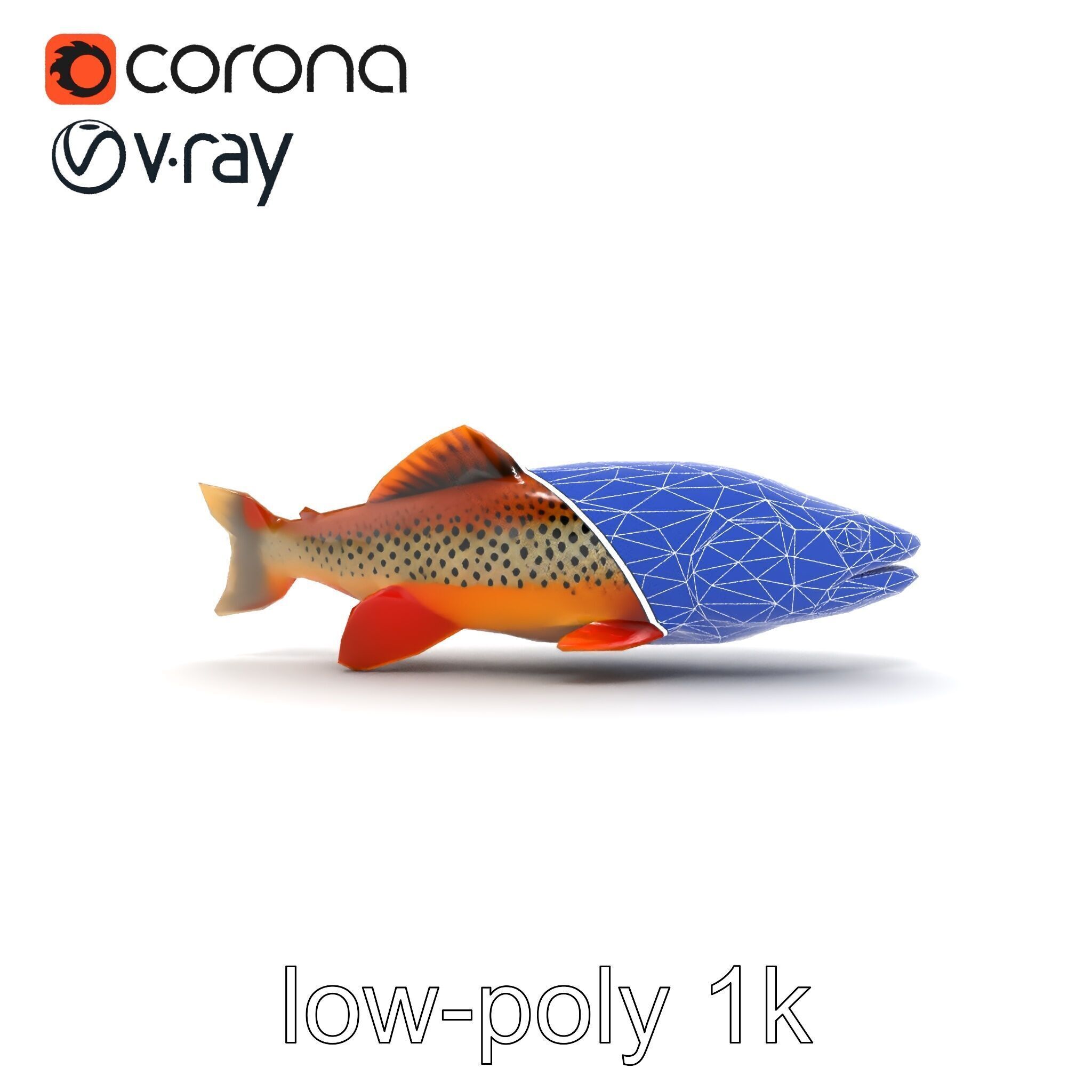 Brown Trout Realistic Fish 3D Model Pack Low-poly 3D model_21