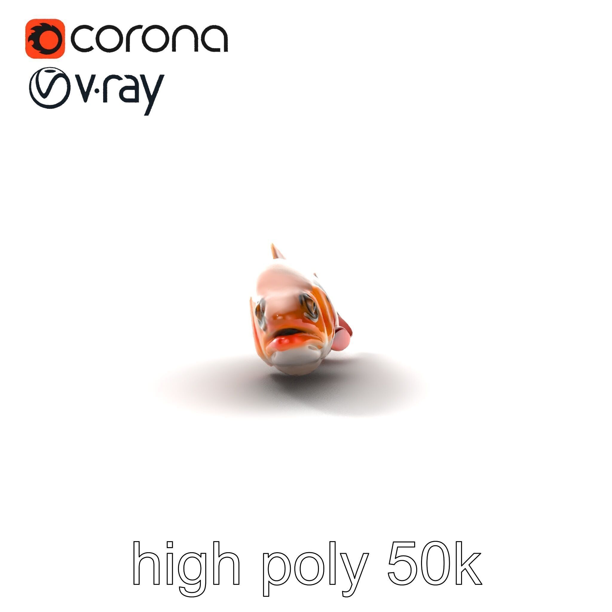 Brown Trout Realistic Fish 3D Model Pack Low-poly 3D model_16