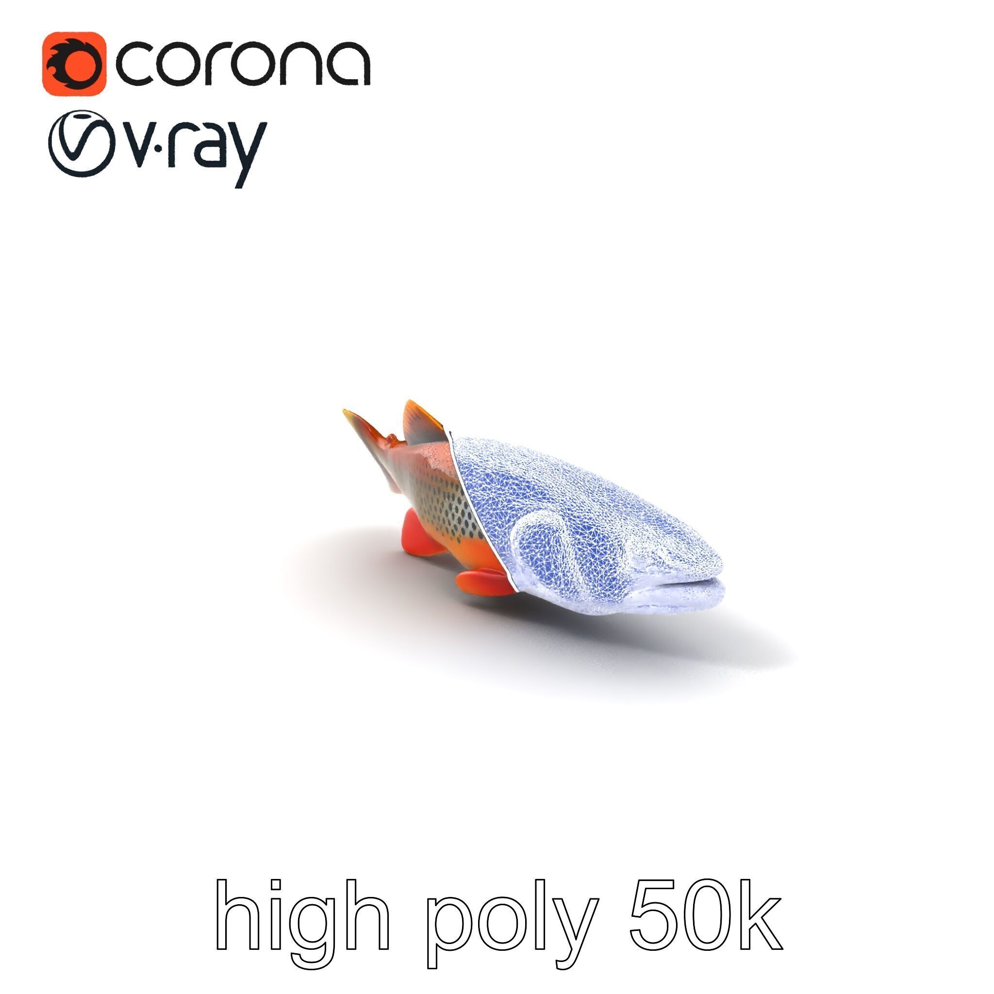 Brown Trout Realistic Fish 3D Model Pack Low-poly 3D model_10