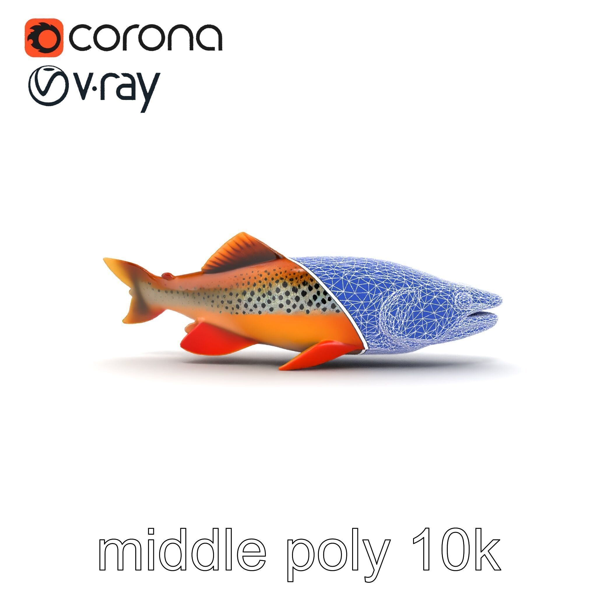 Brown Trout Realistic Fish 3D Model Pack Low-poly 3D model_14