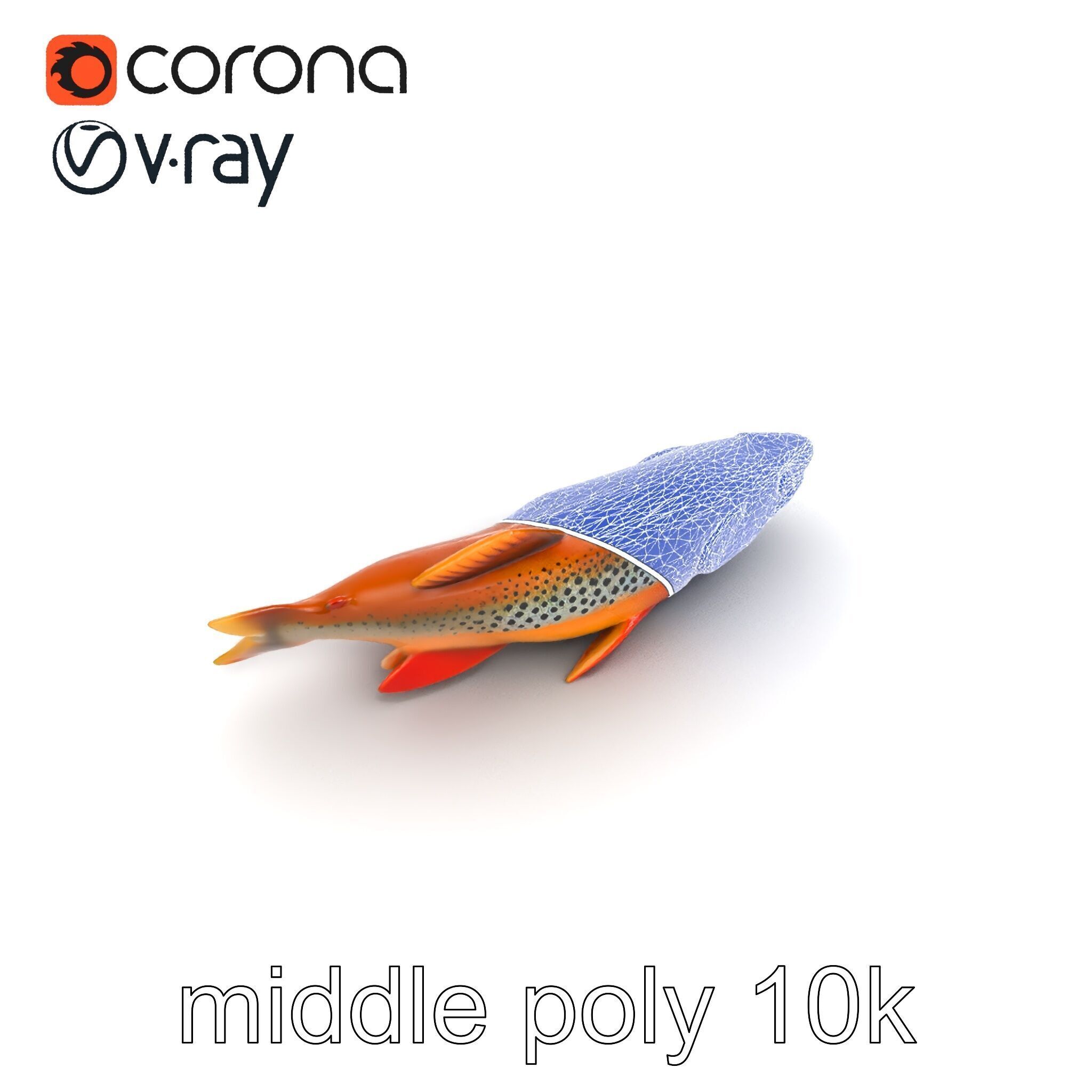 Brown Trout Realistic Fish 3D Model Pack Low-poly 3D model_26