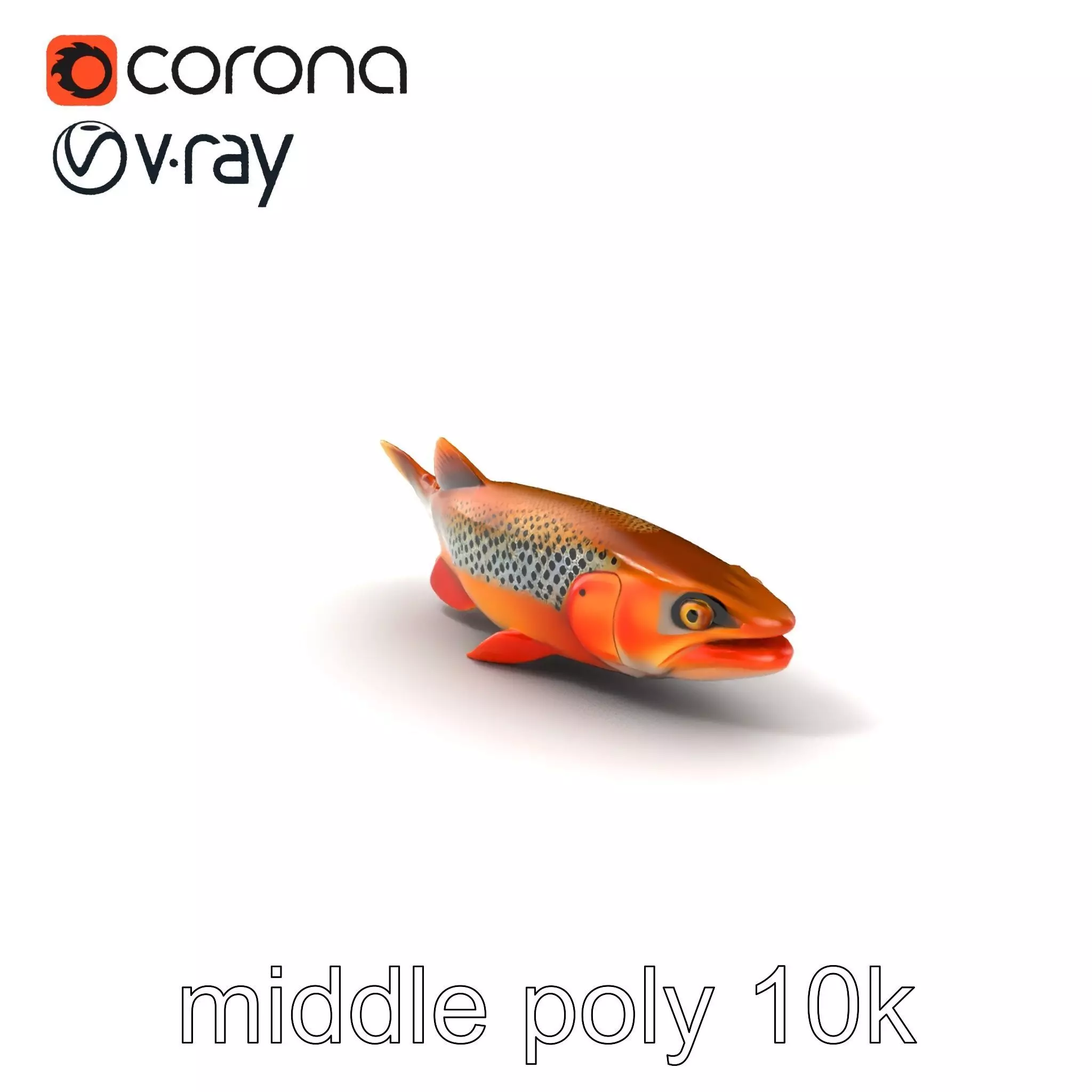 Brown Trout Realistic Fish 3D Model Pack Low-poly 3D model_0