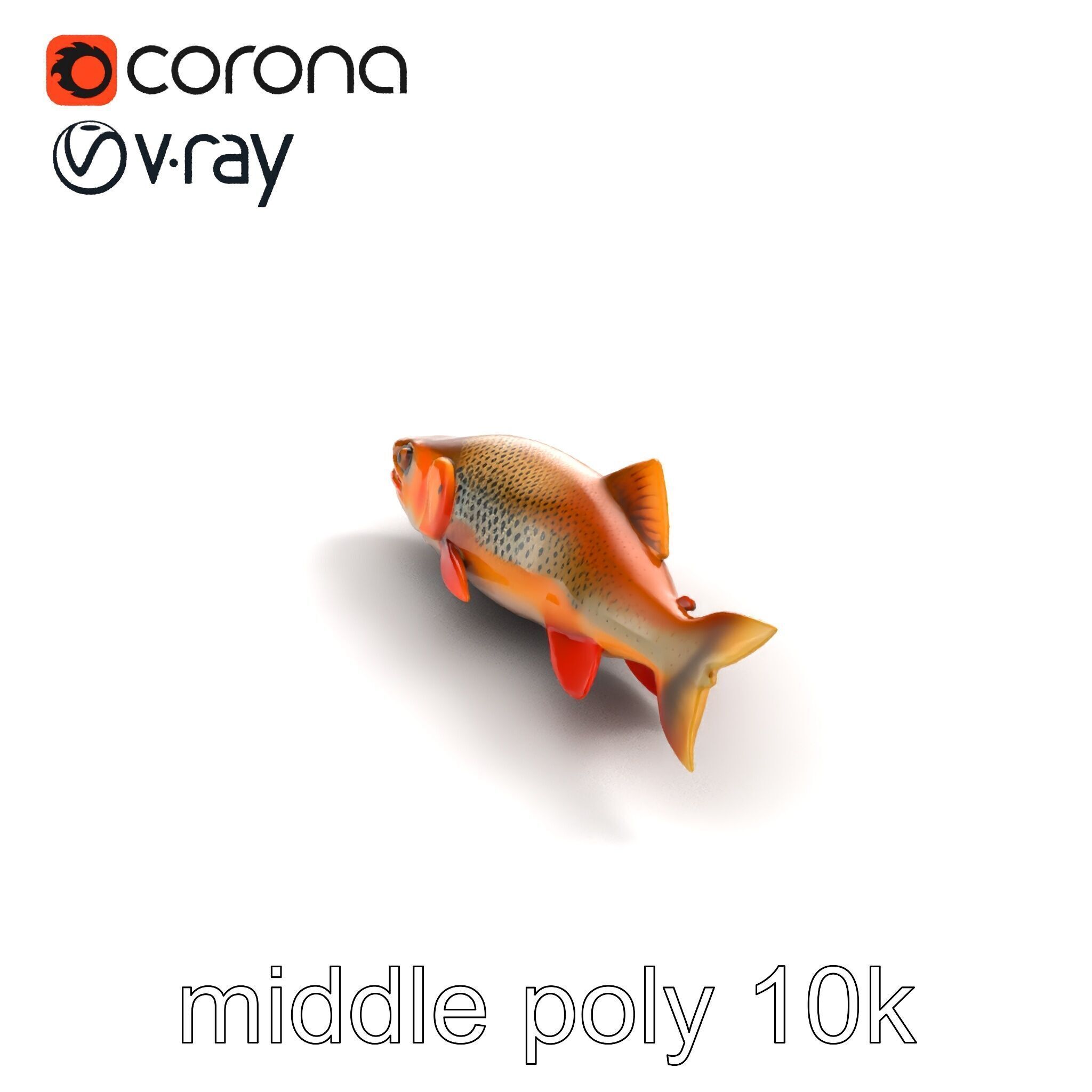 Brown Trout Realistic Fish 3D Model Pack Low-poly 3D model_8