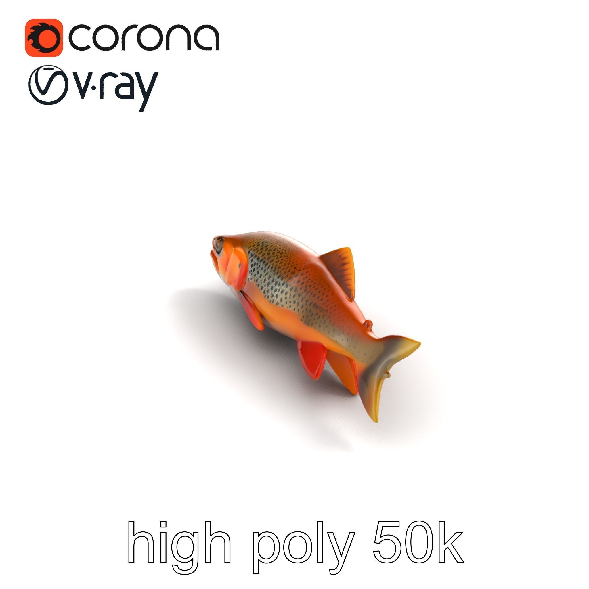 Brown Trout Realistic Fish 3D Model Pack Low-poly 3D model_23