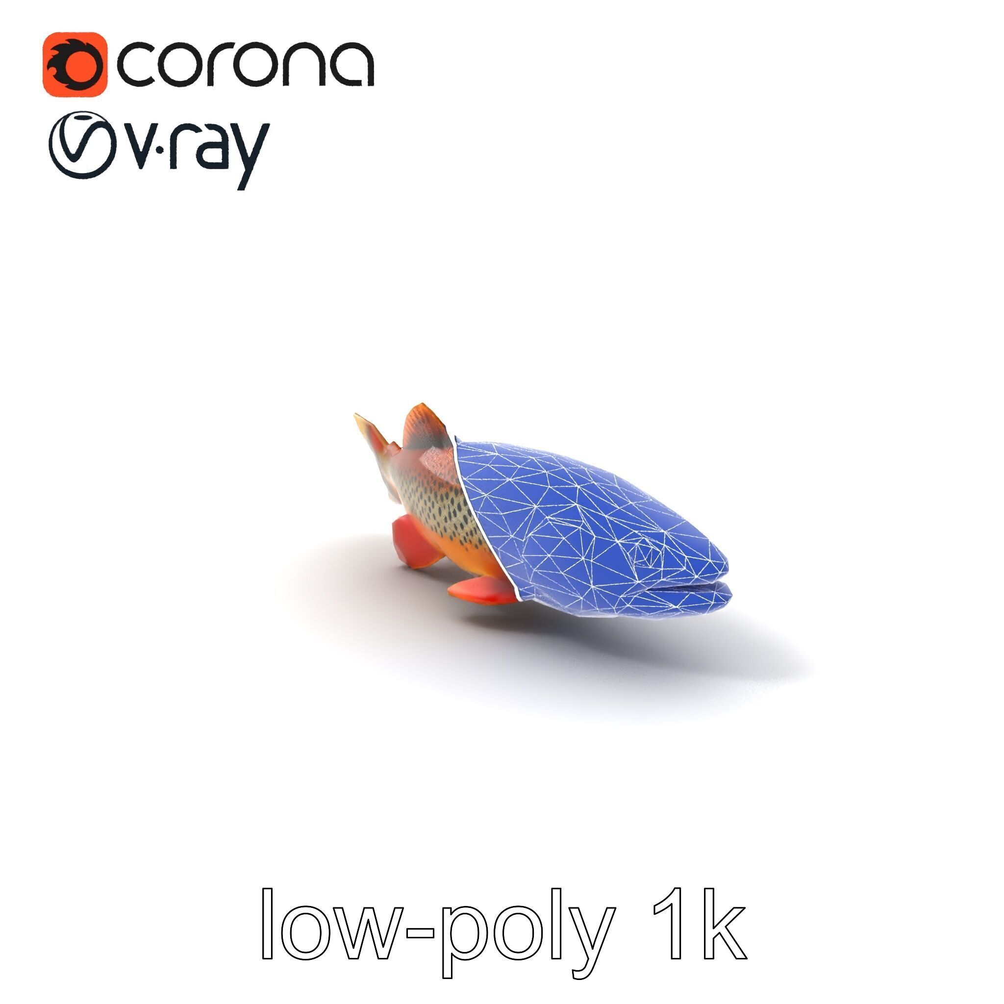 Brown Trout Realistic Fish 3D Model Pack Low-poly 3D model_7