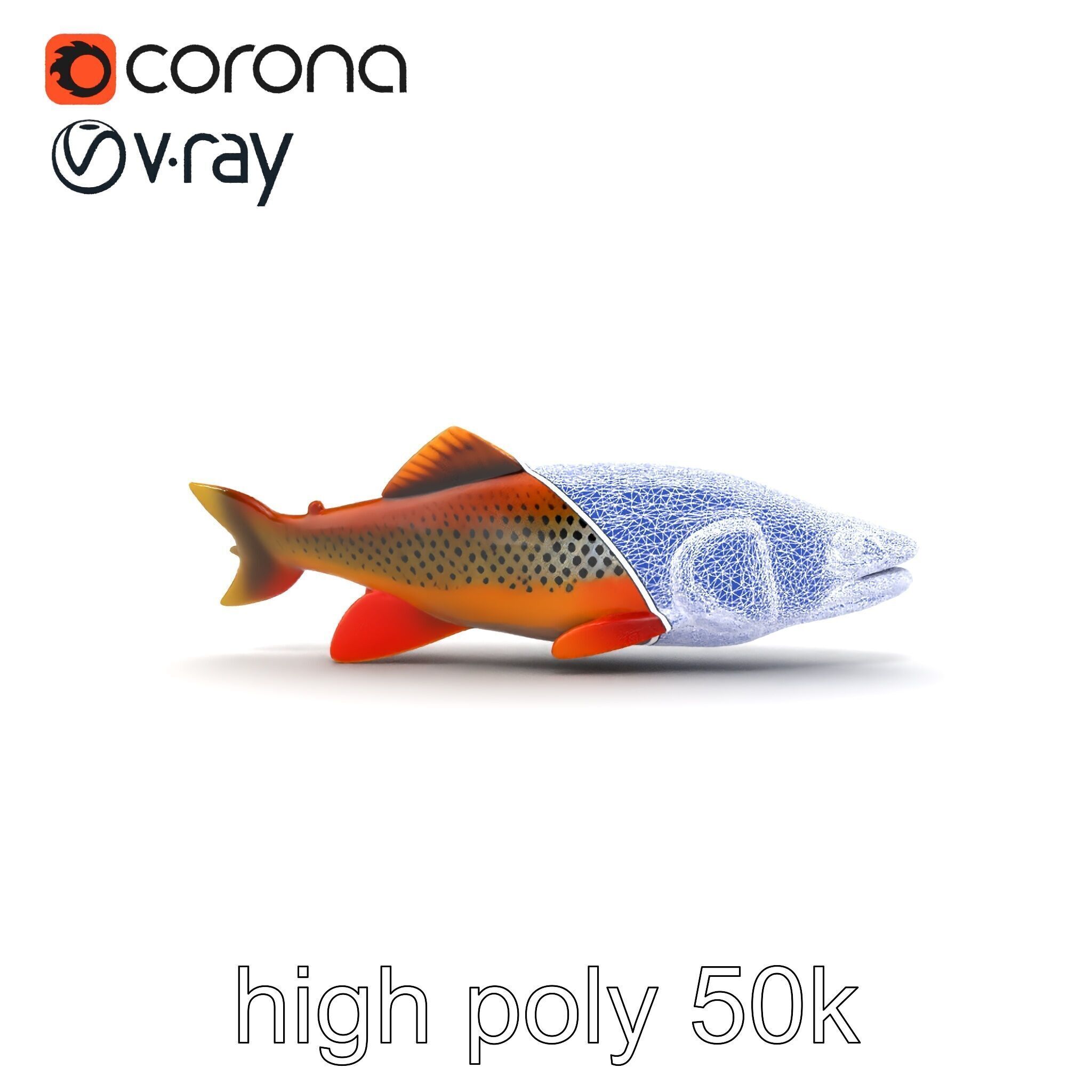 Brown Trout Realistic Fish 3D Model Pack Low-poly 3D model_24