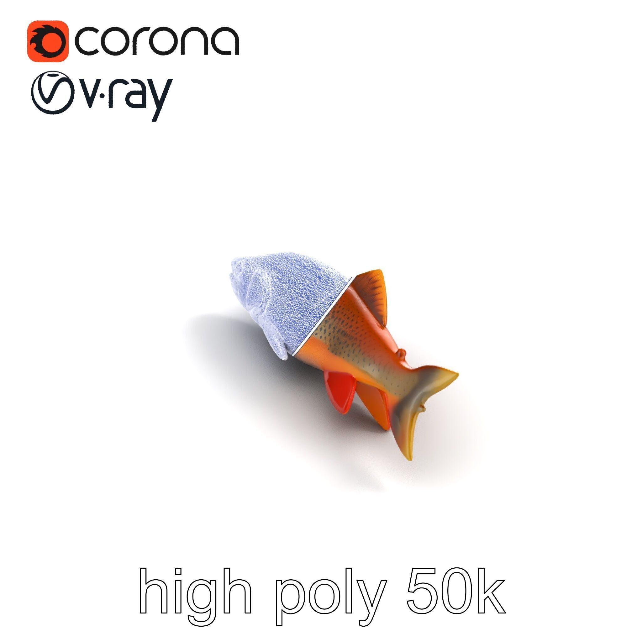 Brown Trout Realistic Fish 3D Model Pack Low-poly 3D model_31