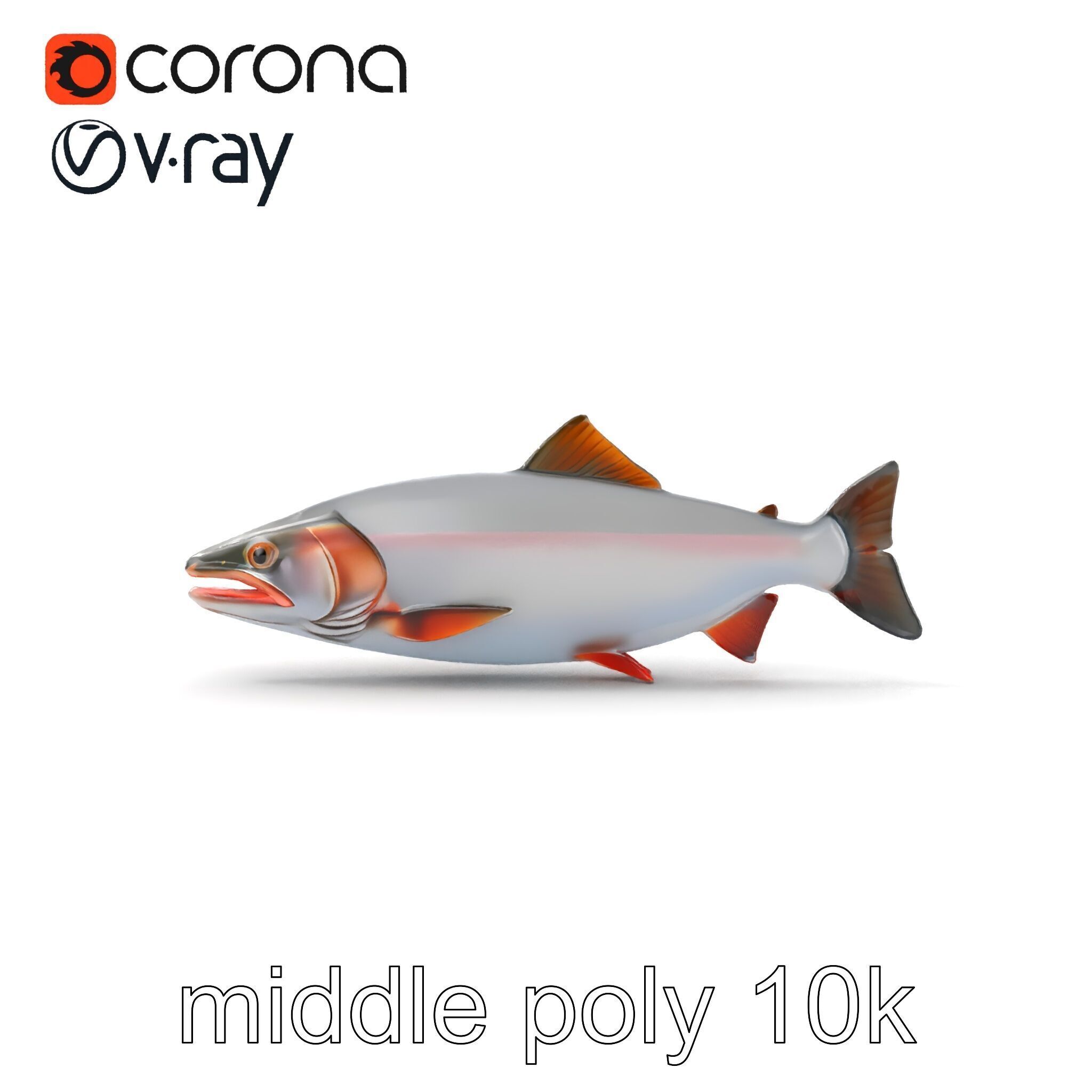 Steelhead Trout Migration Motion model pack Low-poly 3D model_21